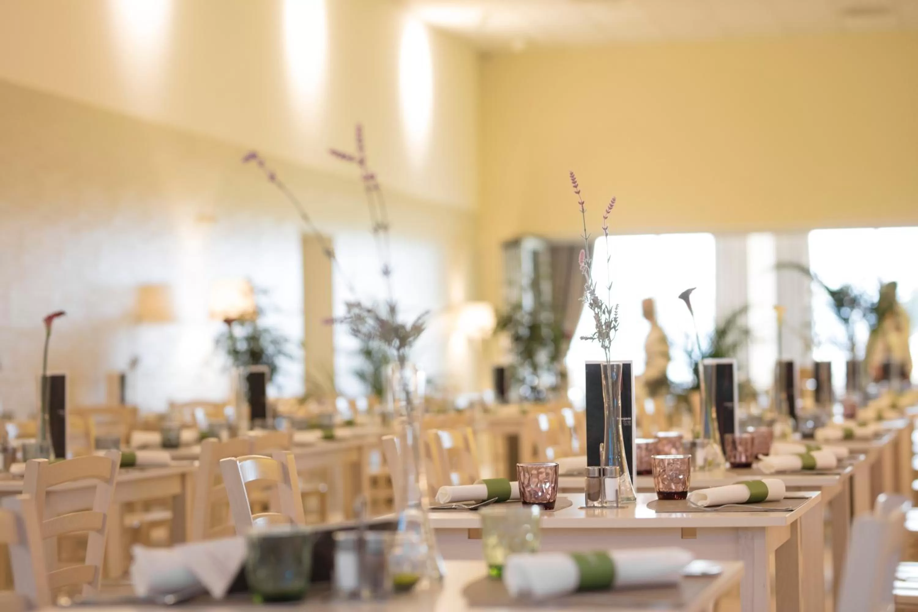 Restaurant/places to eat in Mjus Resort & Thermal Park