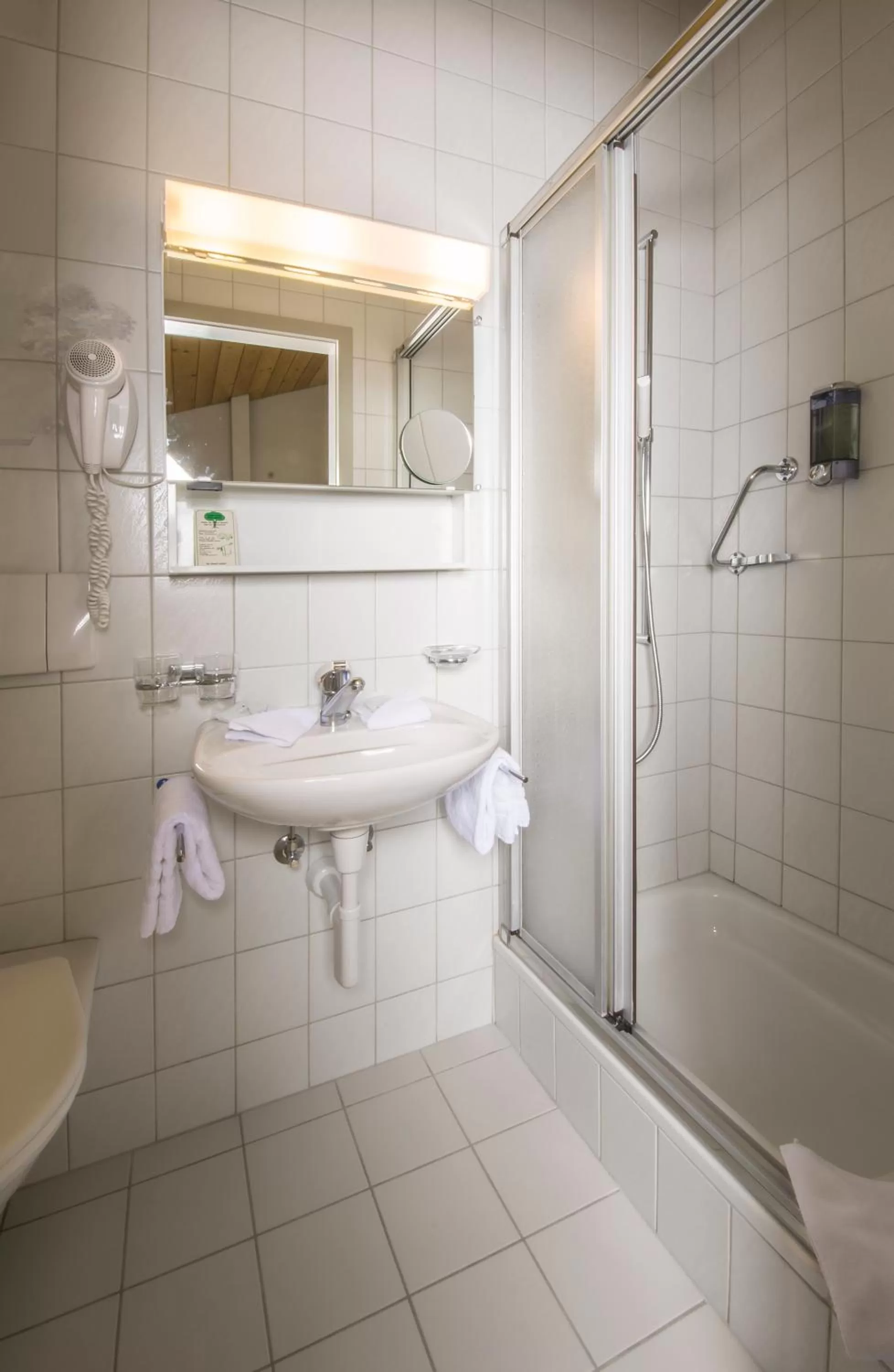 Shower, Bathroom in Hotel National