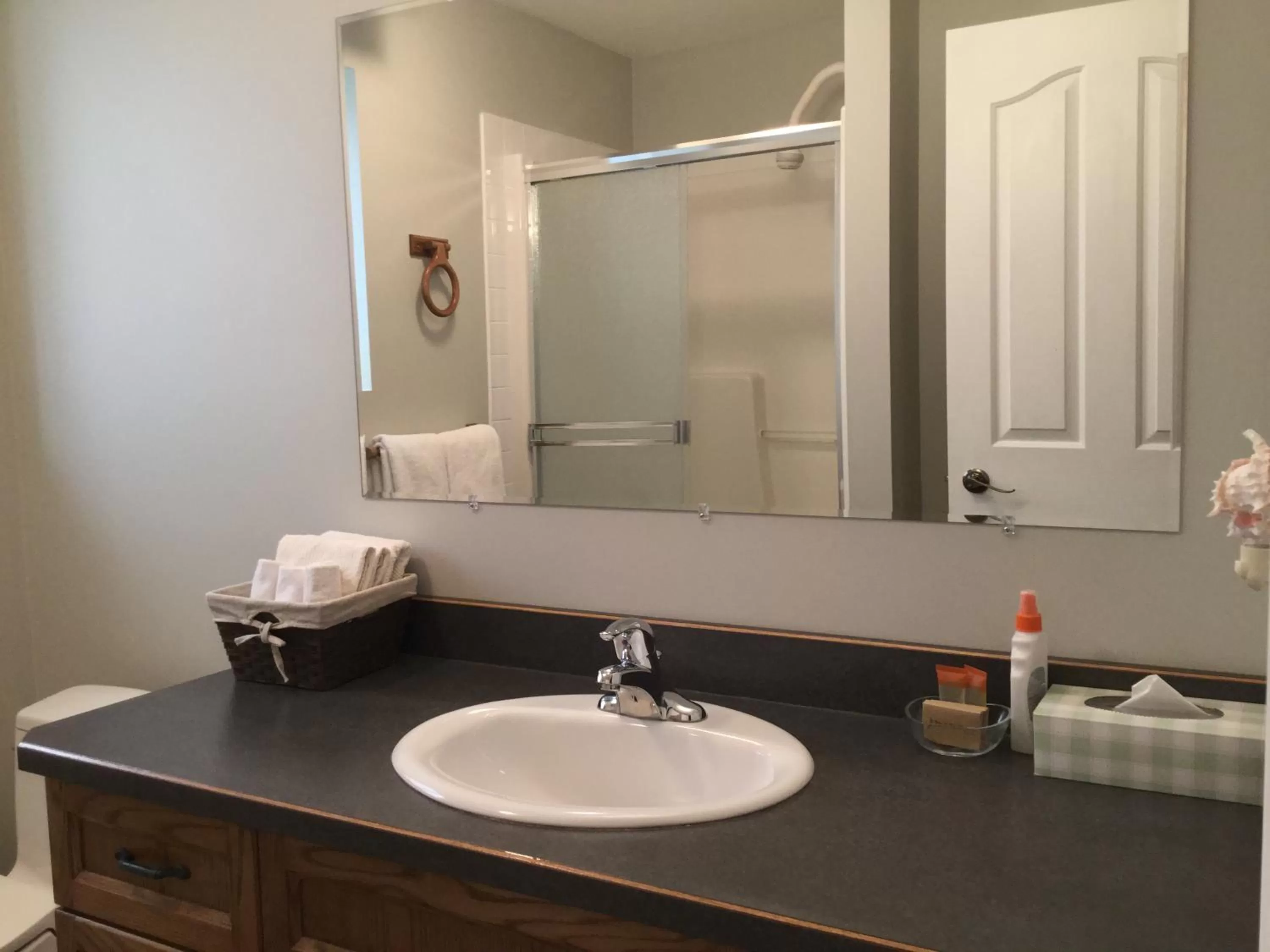 Bathroom in Hope Springs Eternal Bed and Breakfast