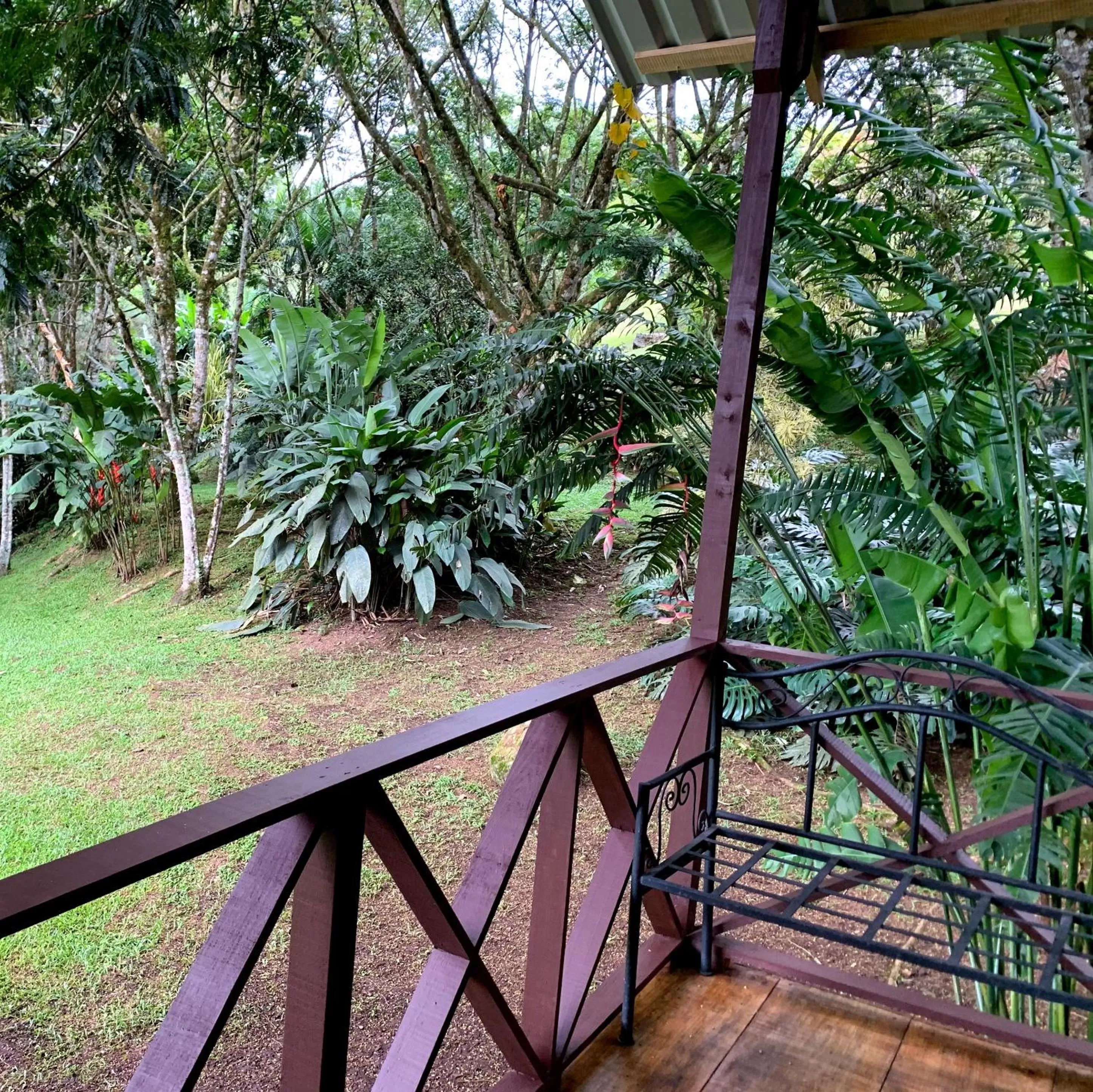 Day, Balcony/Terrace in Hospedaje La Naciente