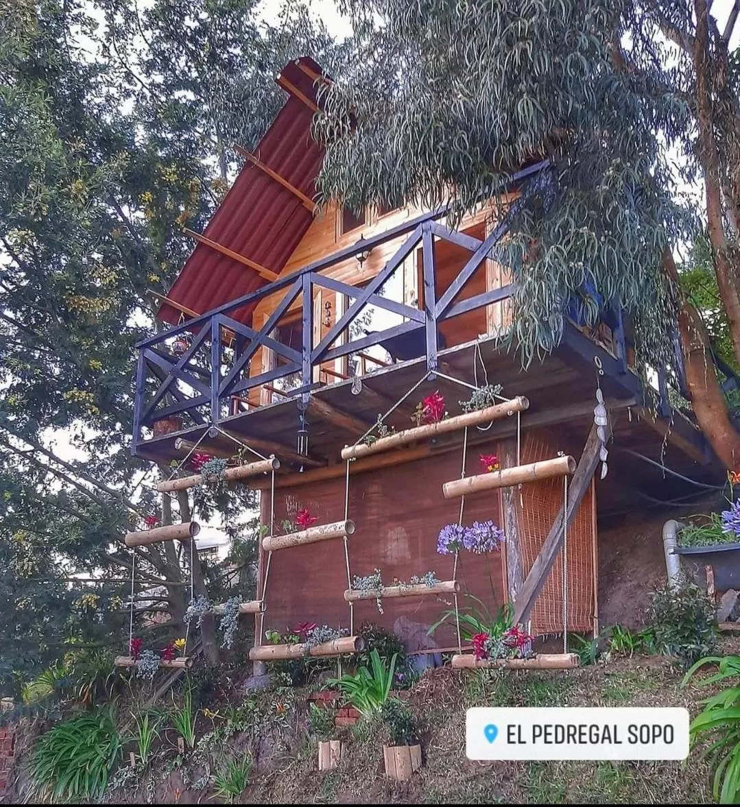 Property Building in El Pedregal Sopó