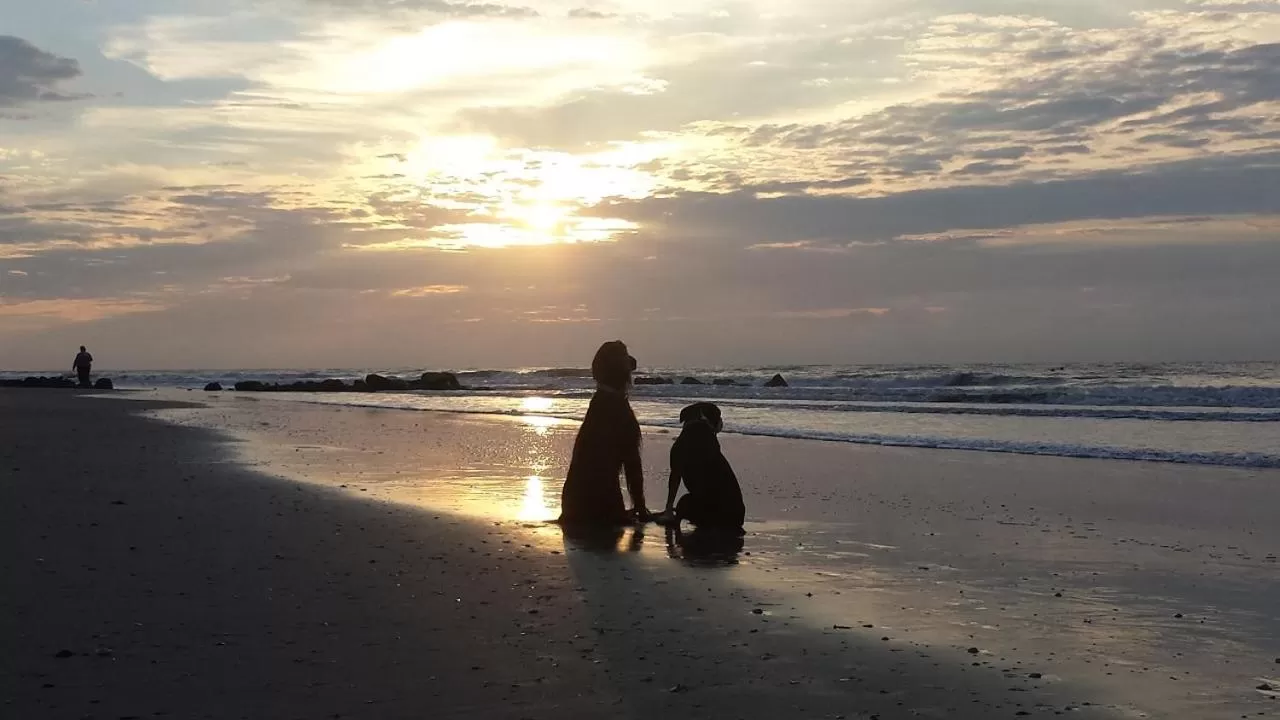 Hotel Folly with Marsh and Sunset Views
