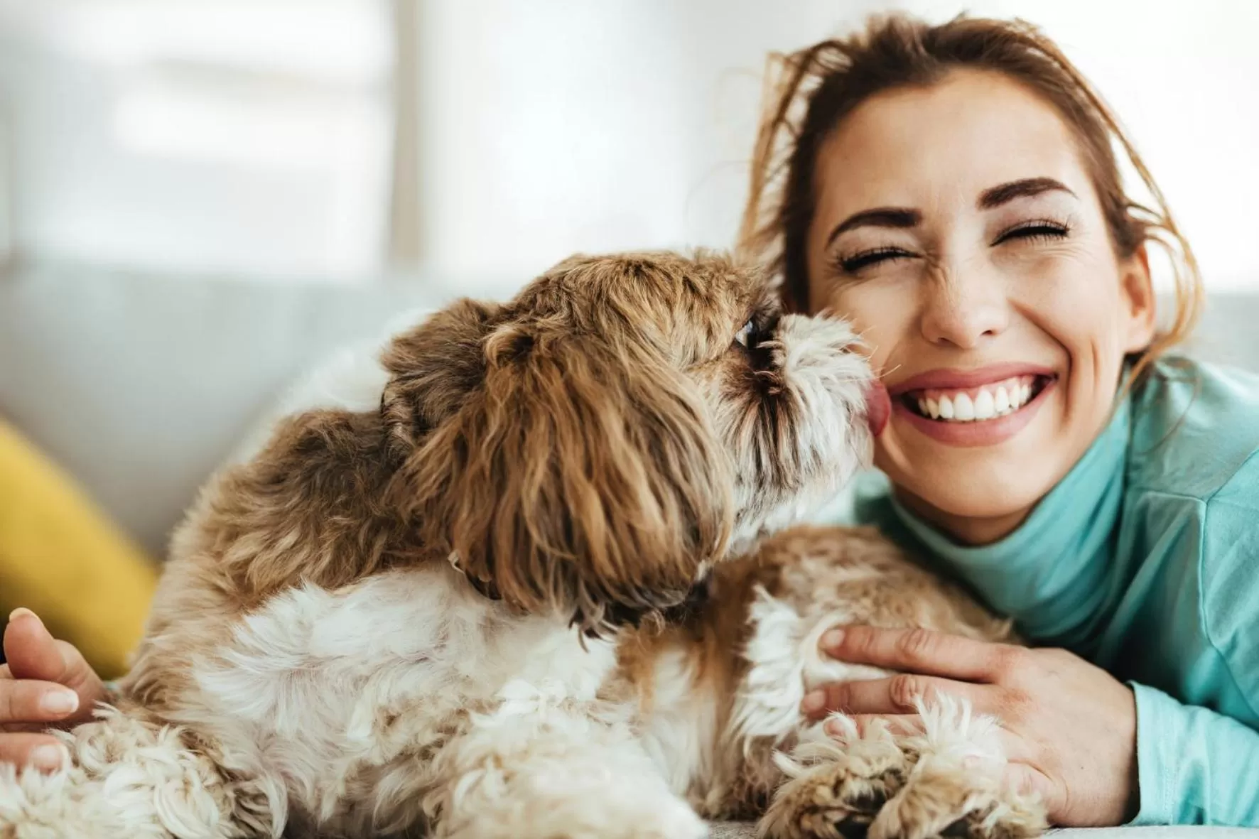 Pets in Révész Hotel, Restaurant and Rosa Spa
