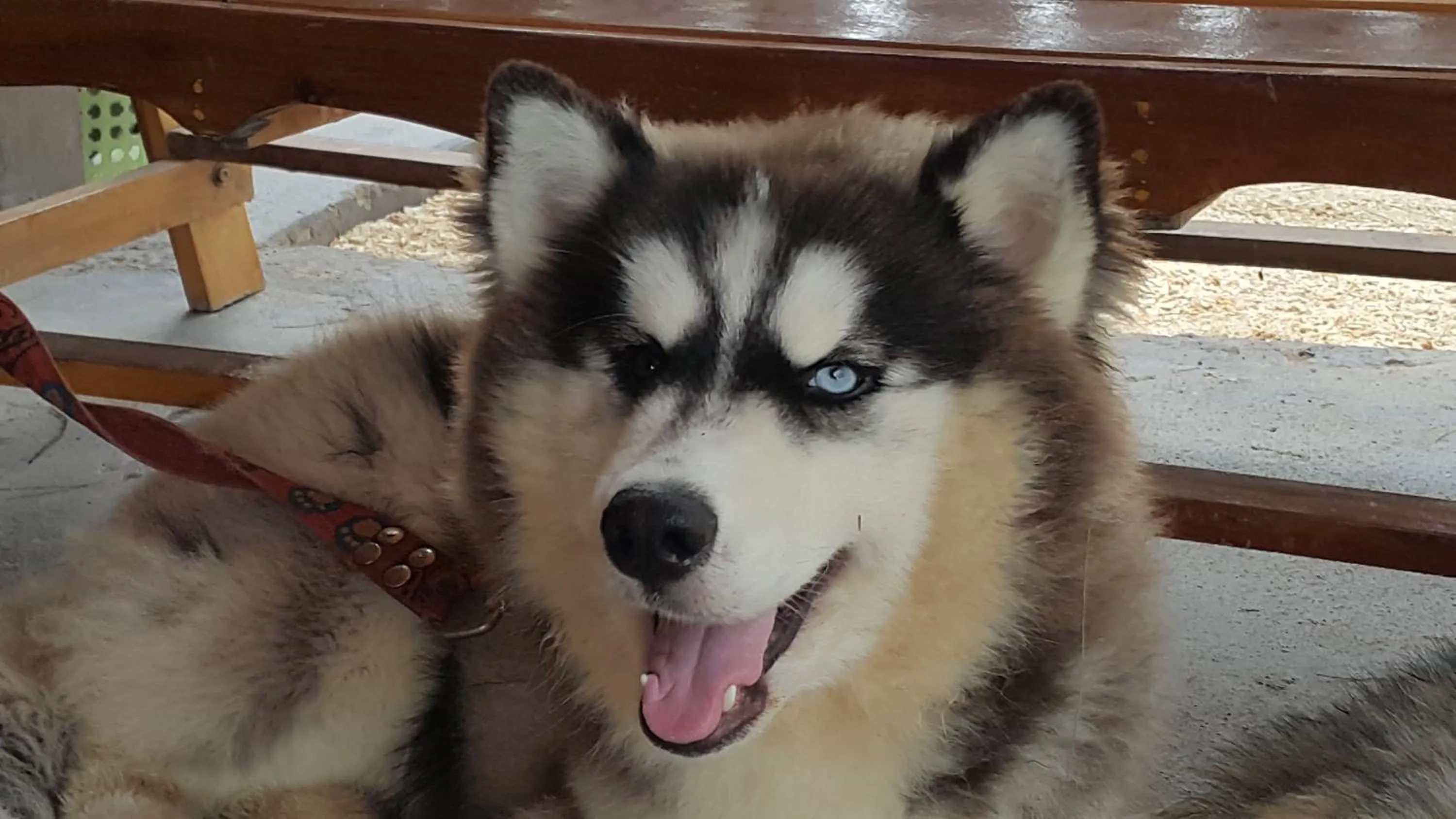 Property building in Eco Lanta Hideaway Beach Resort