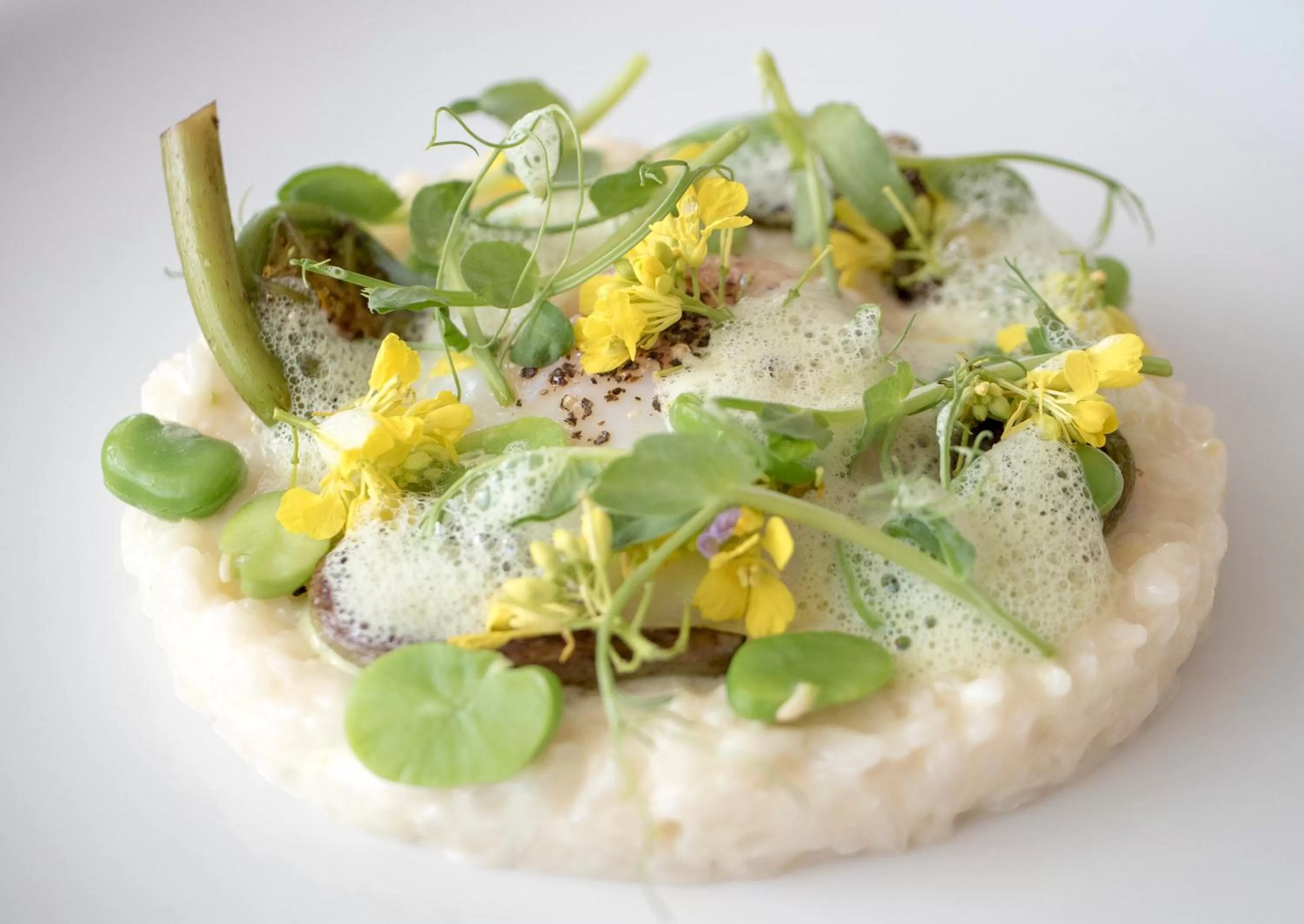 Restaurant/places to eat in InterContinental San Francisco by IHG