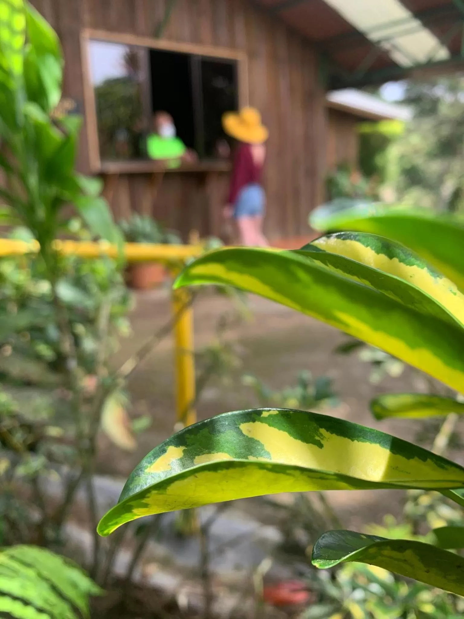 Garden in Vista Turrialba Lodge