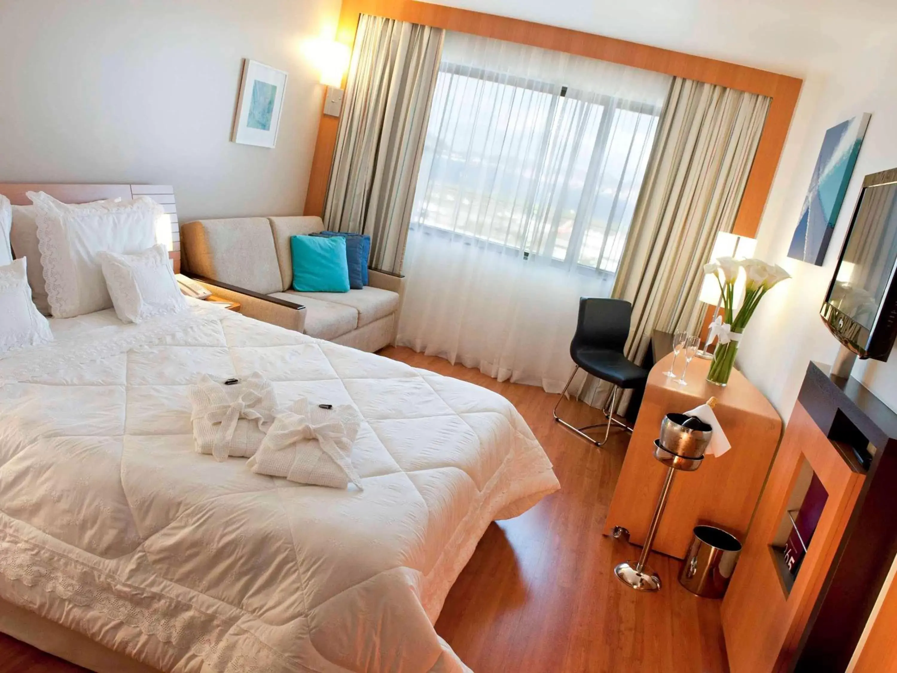 Executive Double Room with Sofa Bed in Novotel RJ Santos Dumont Executive Double Room with Sofa Bed in Novotel RJ Santos Dumont