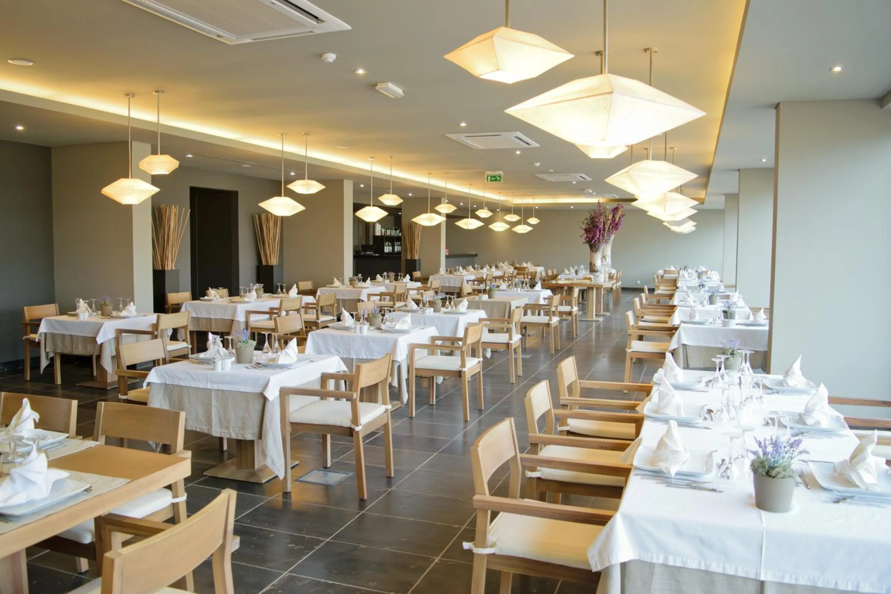 Food and drinks in Oasis Salinas Sea