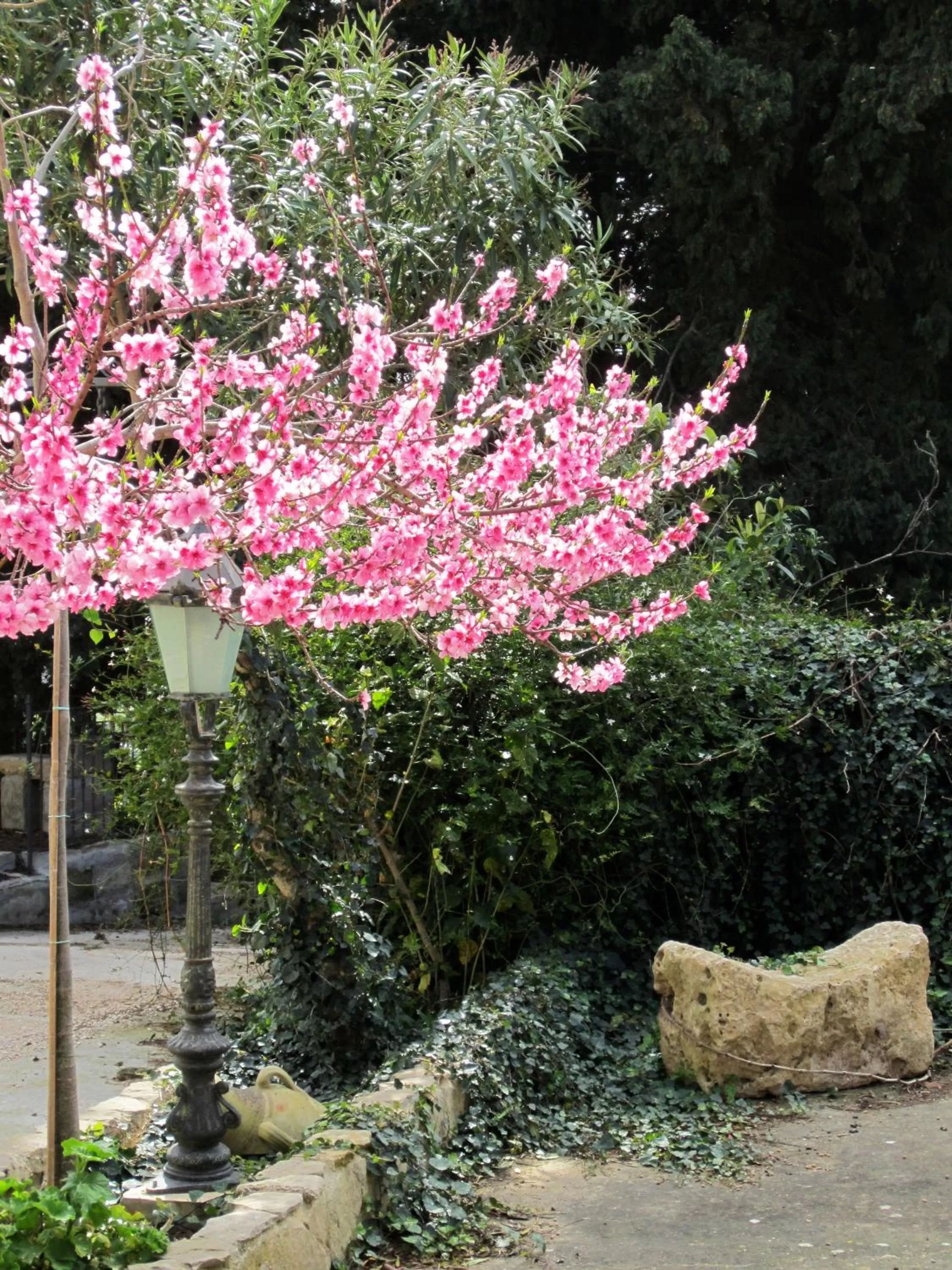 Facade/entrance in Candalù - Villa Giardinata