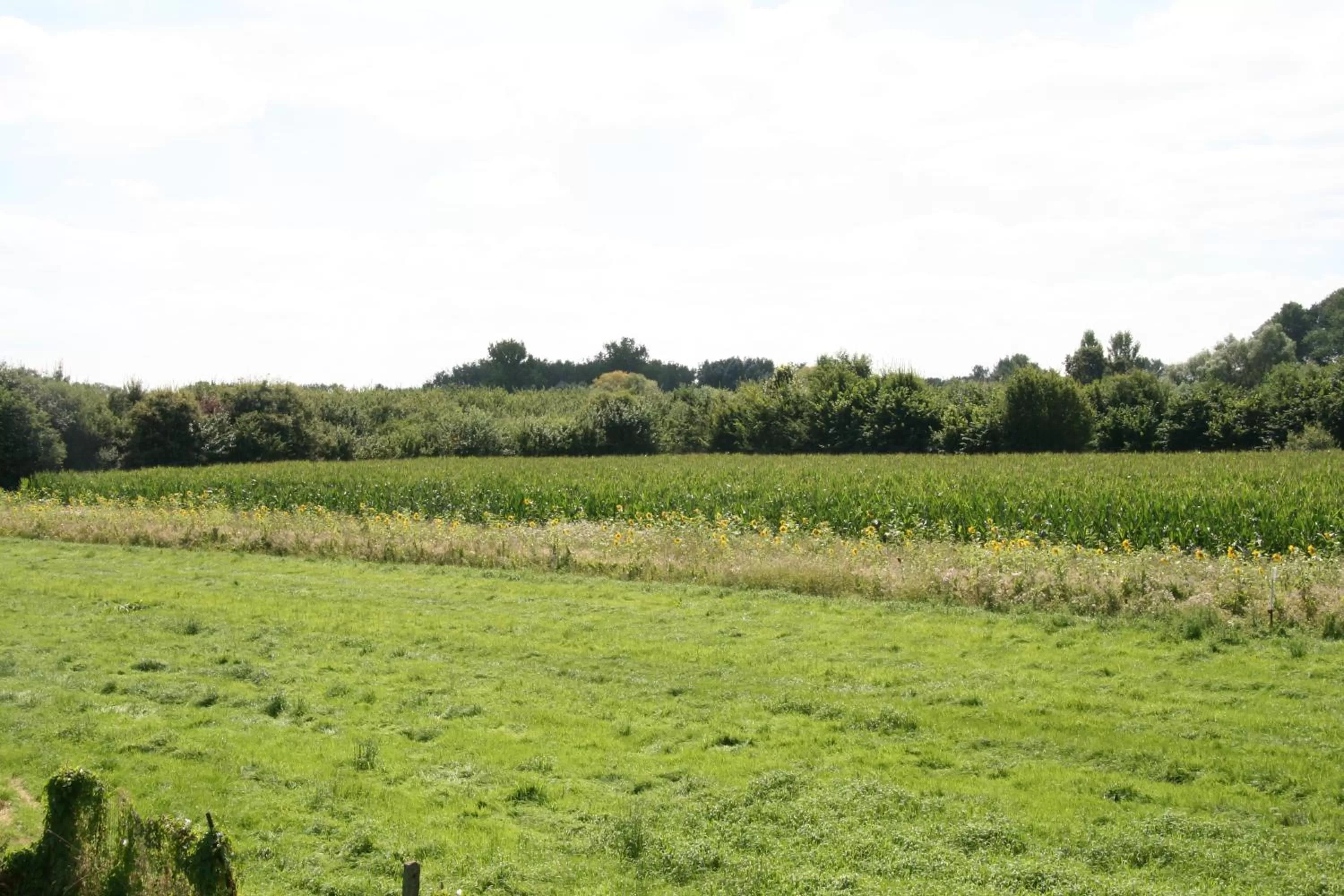 Natural Landscape in B&B Aalsters genot