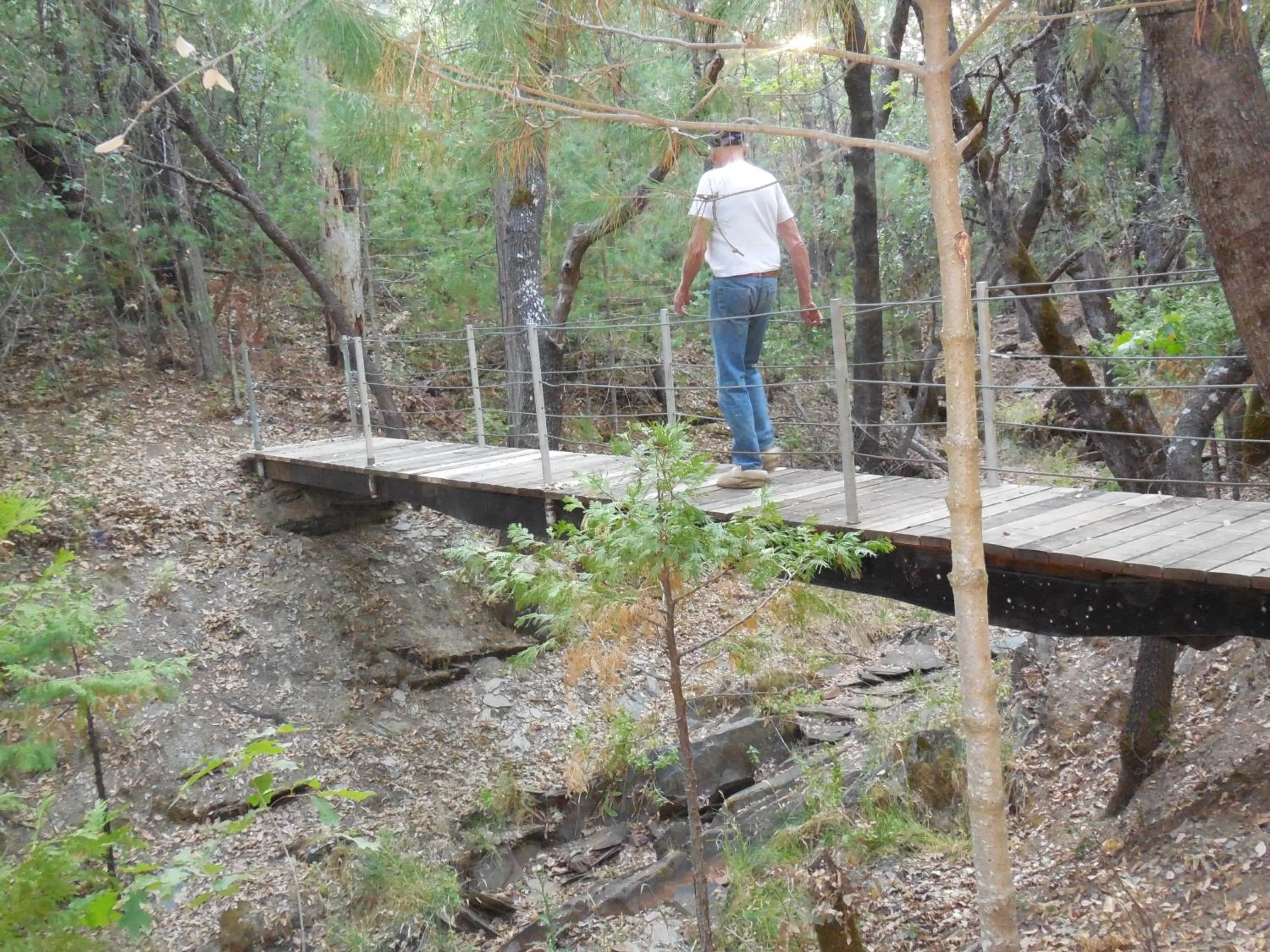 People in Yosemite Paradise Inn