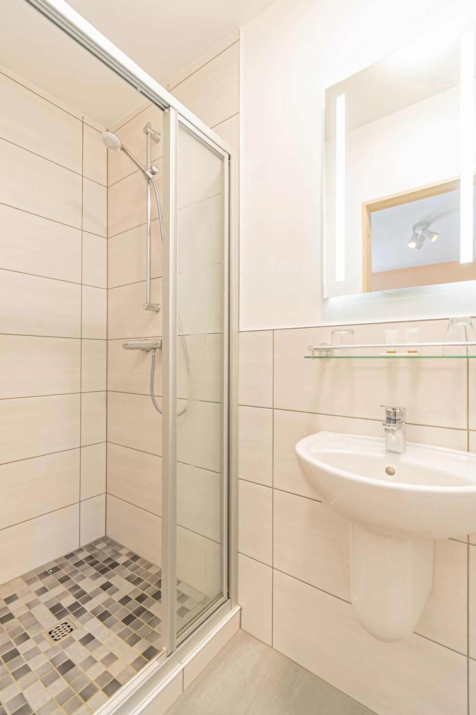 Shower in Hotel Le Postillon