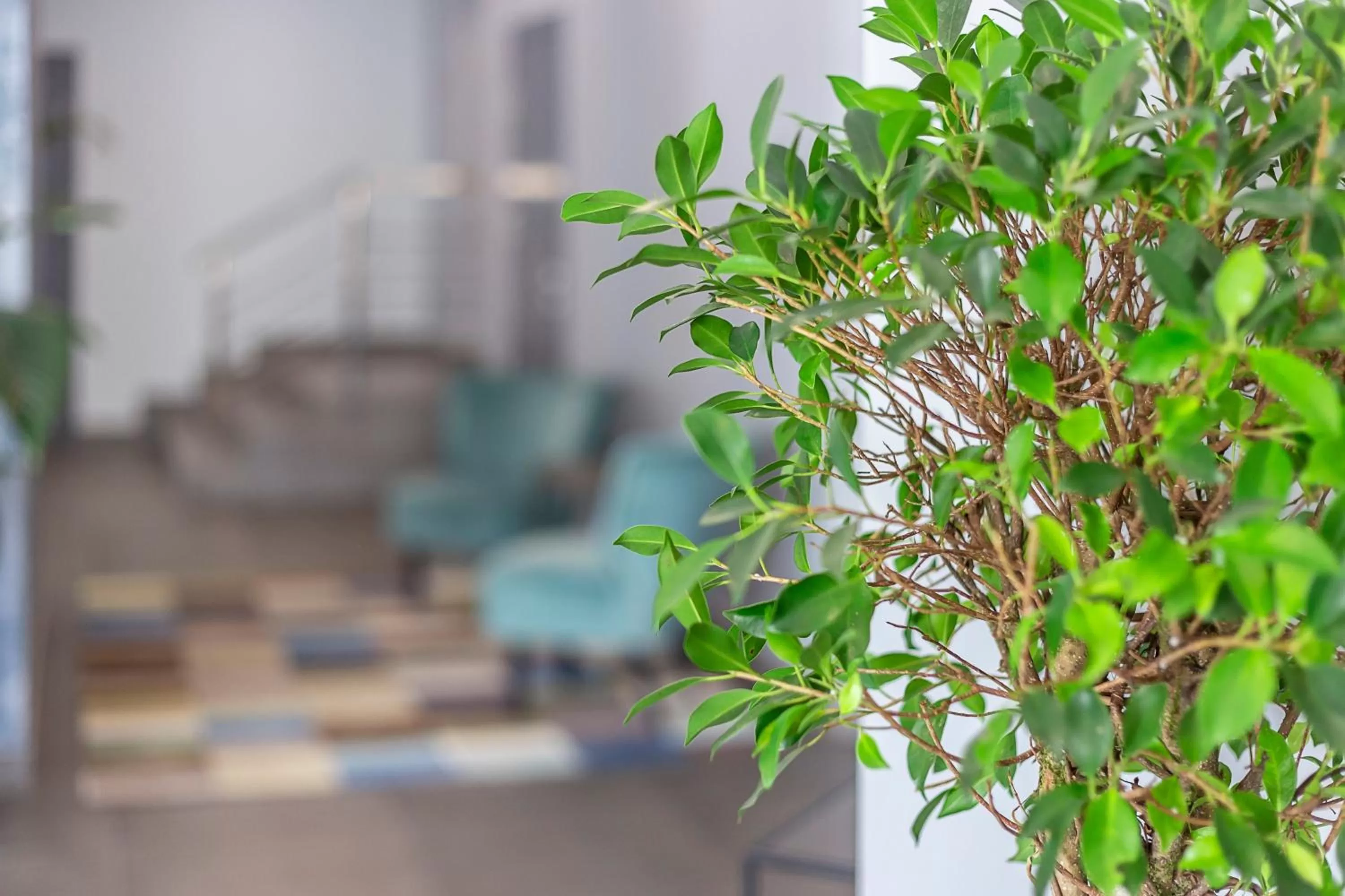 Lobby or reception in Favor Sport Hotel