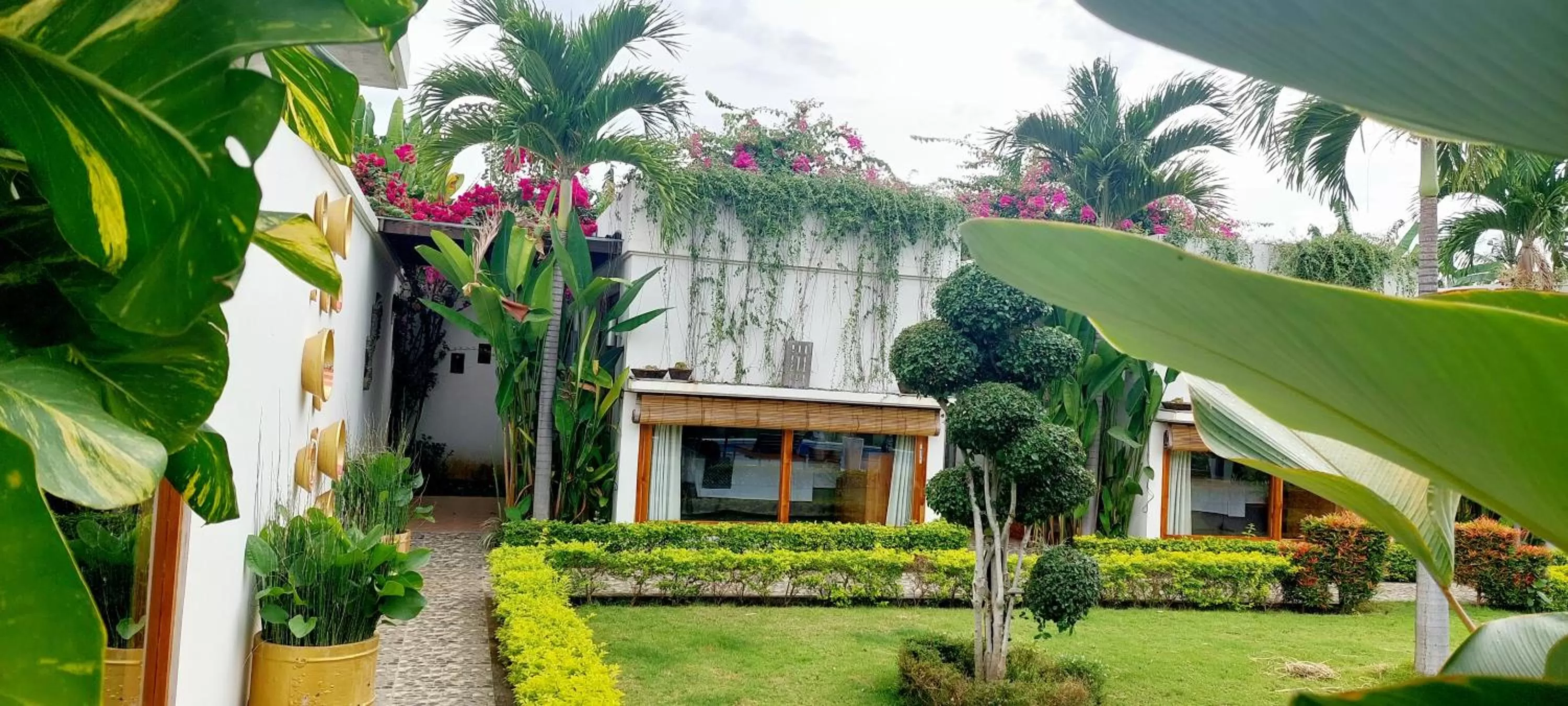 Property Building in The Edicha