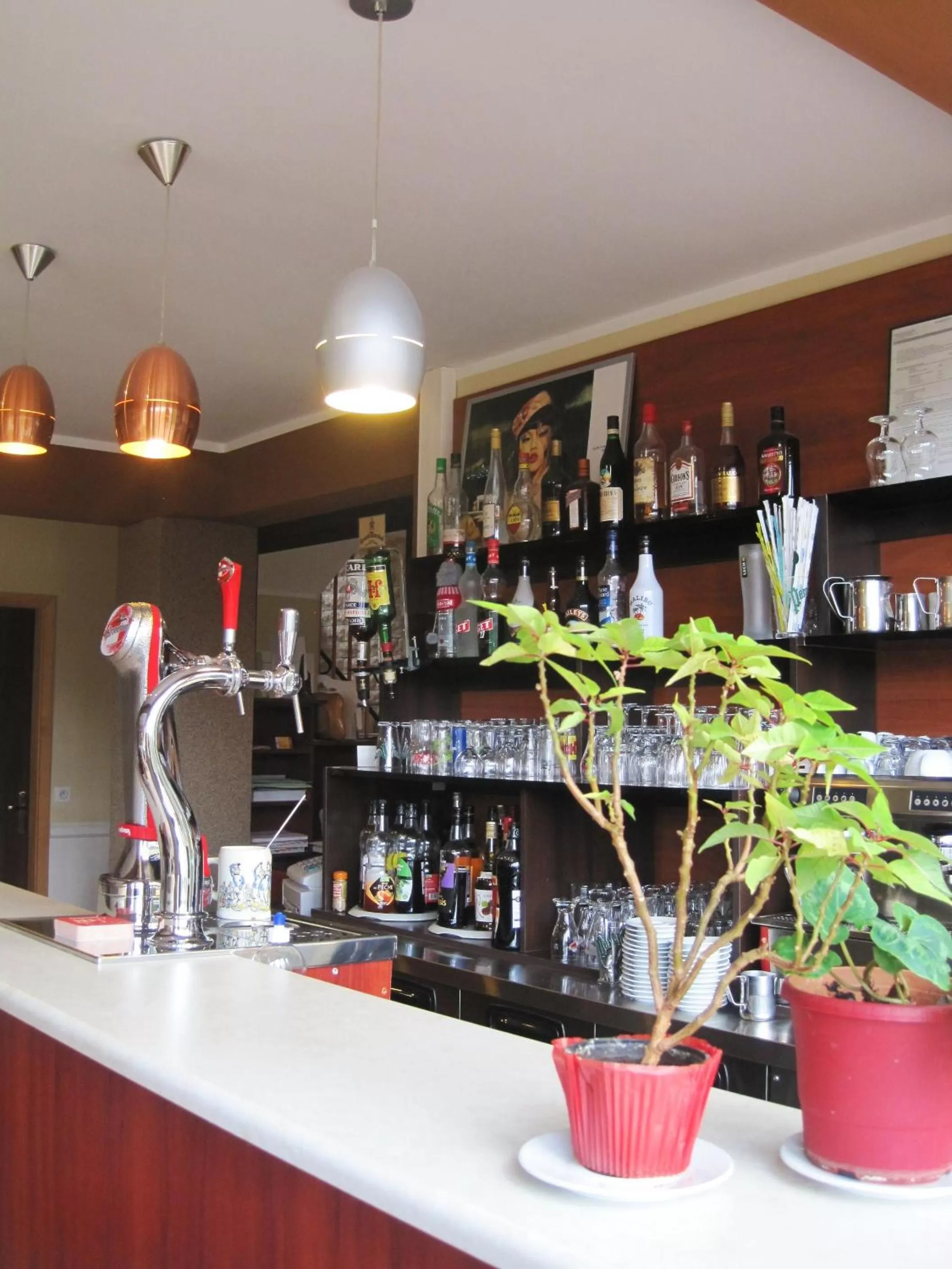 Lounge or bar in Hotel Restaurant Rive Gauche