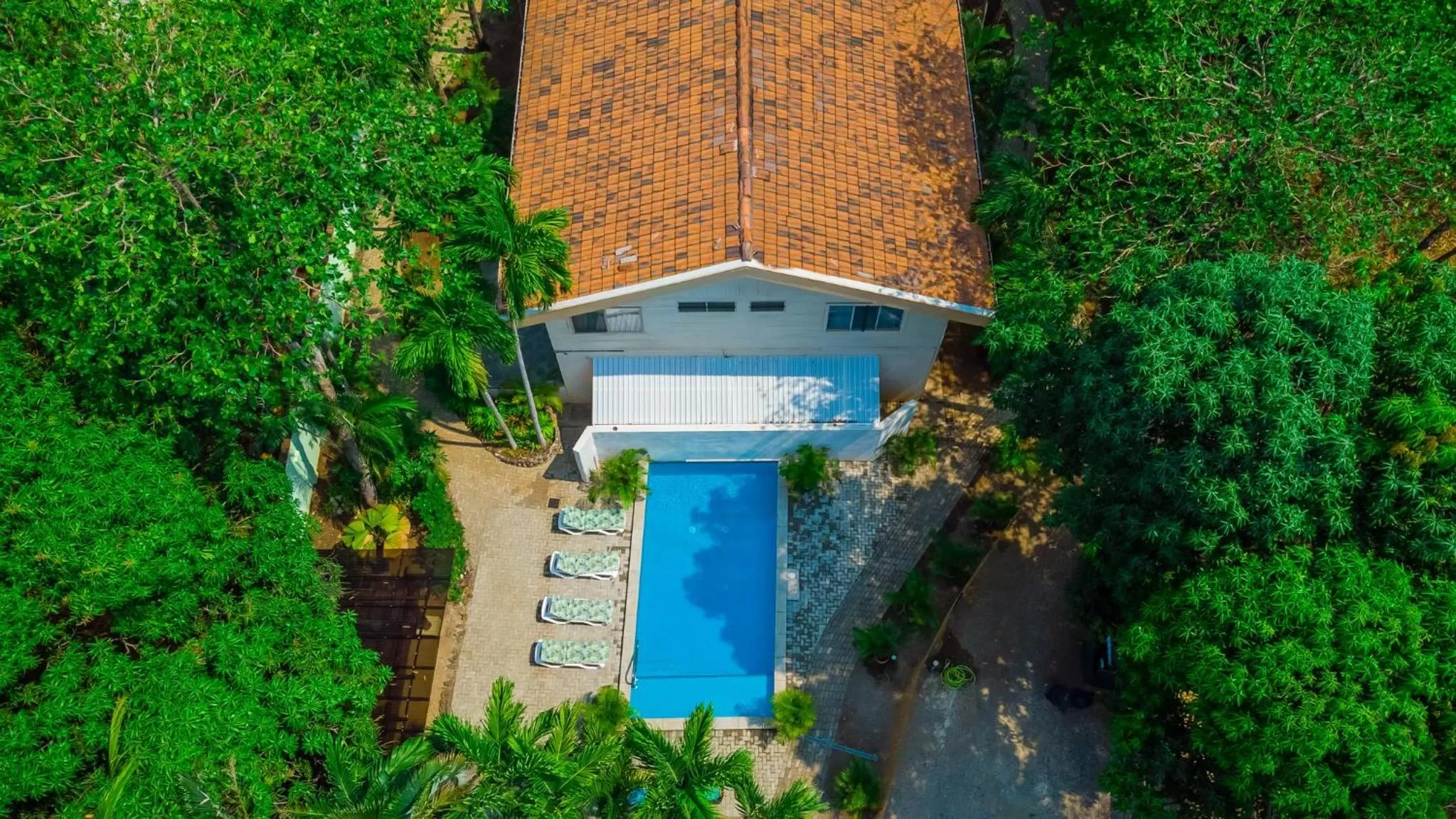 Swimming pool, Pool View in Corona del Mar
