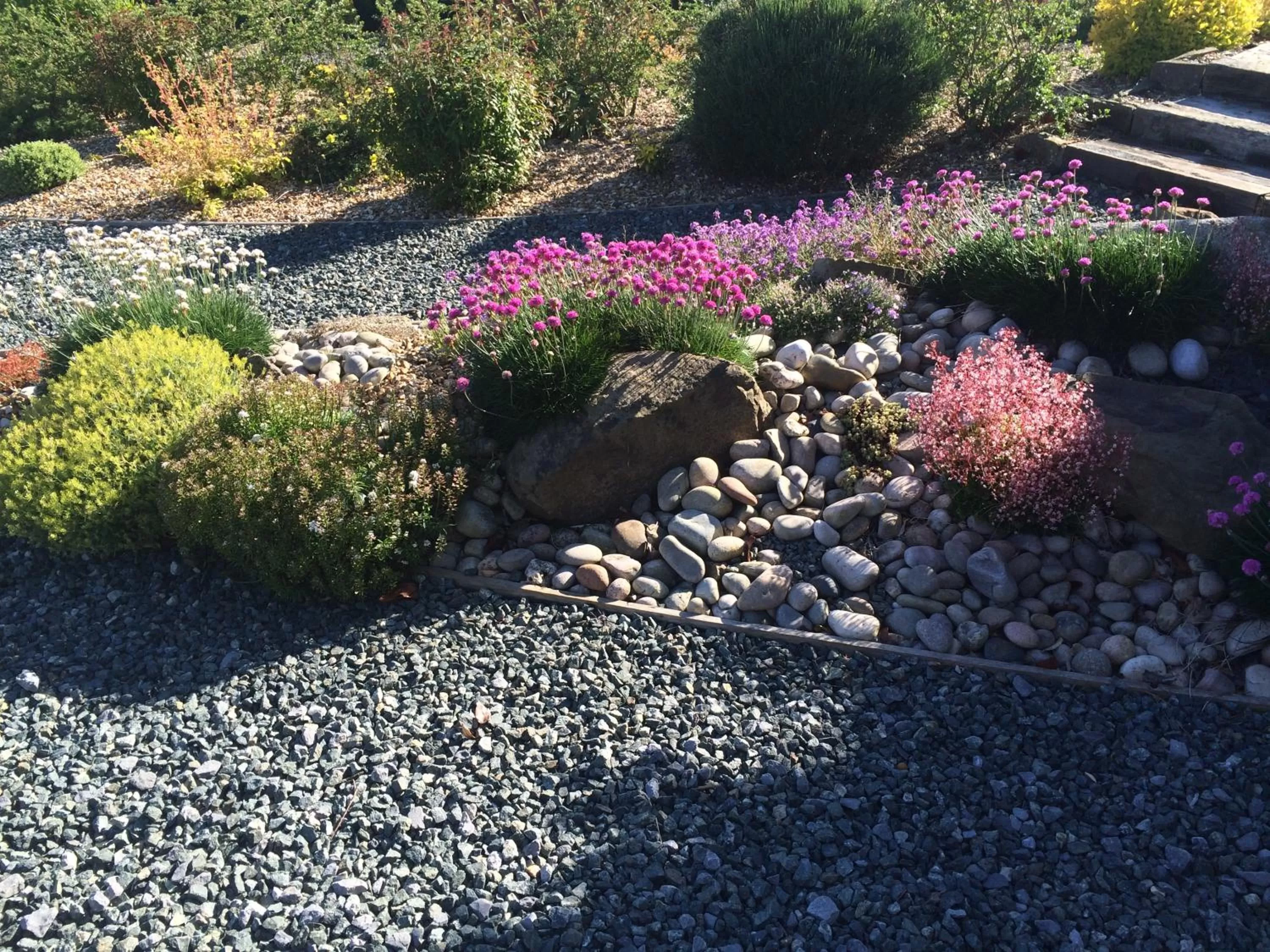 Garden in Beggars Reach Hotel