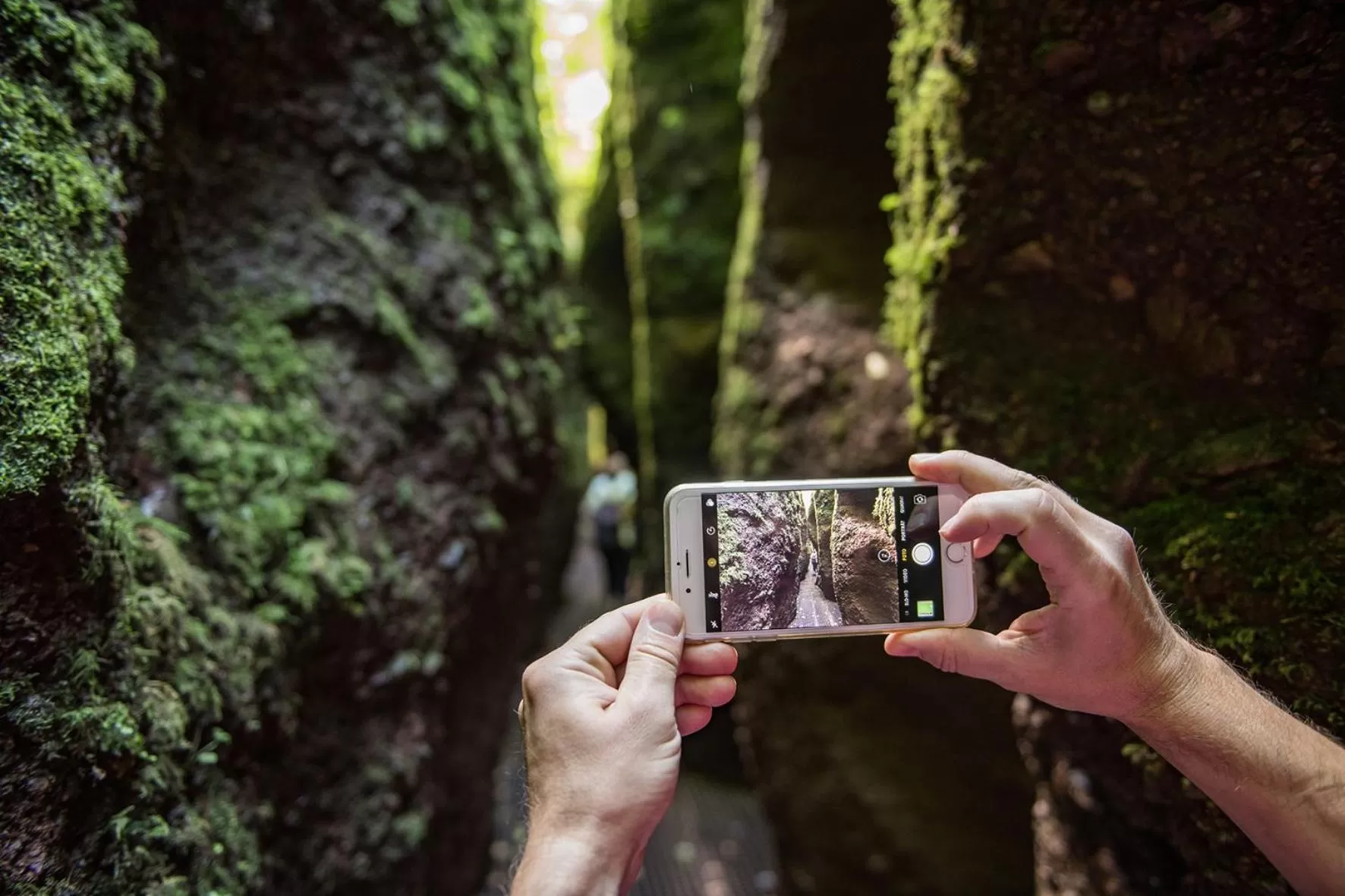 Nearby landmark in Suites MITTE - Aparthotel