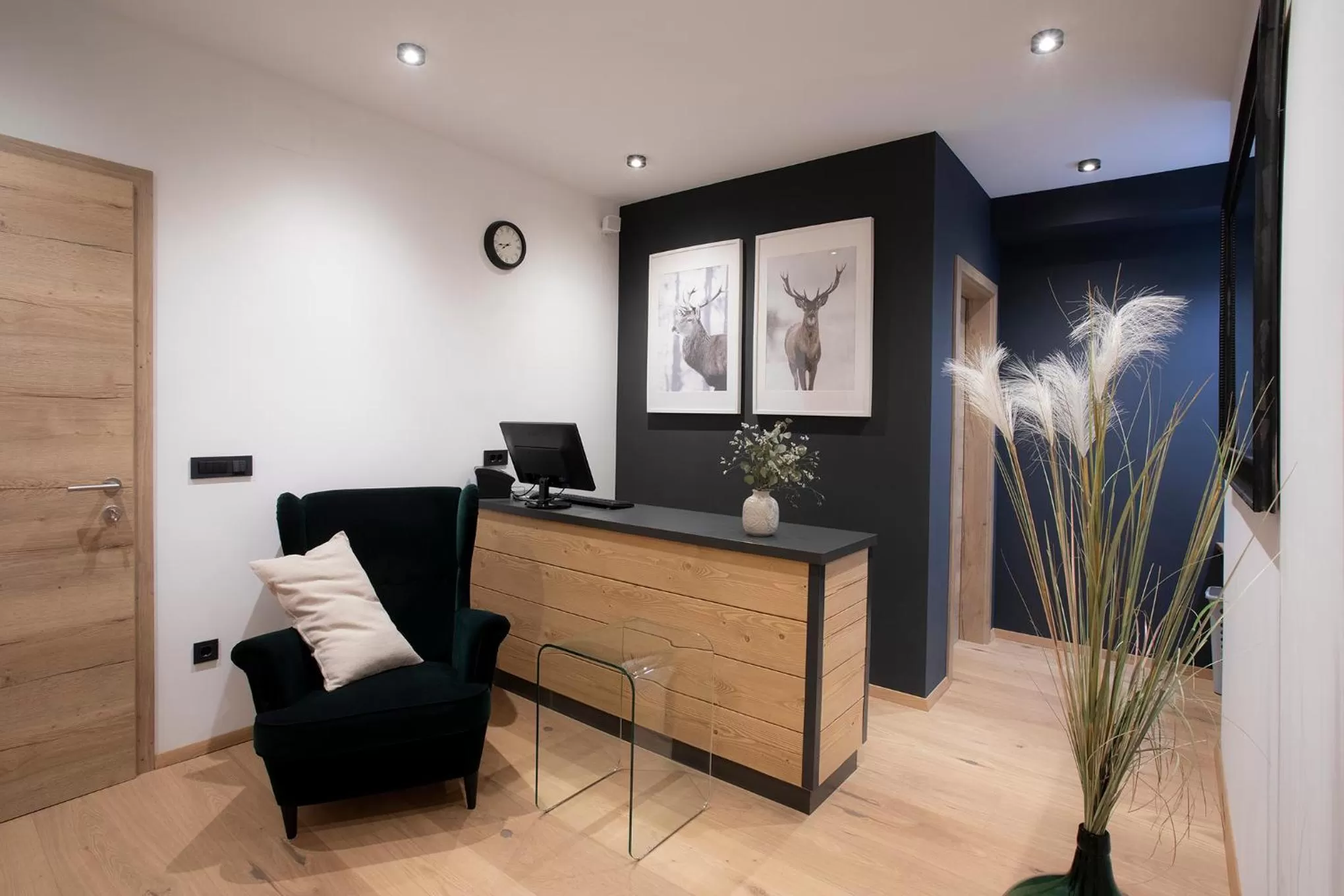 Lobby or reception, Lobby/Reception in House Troha