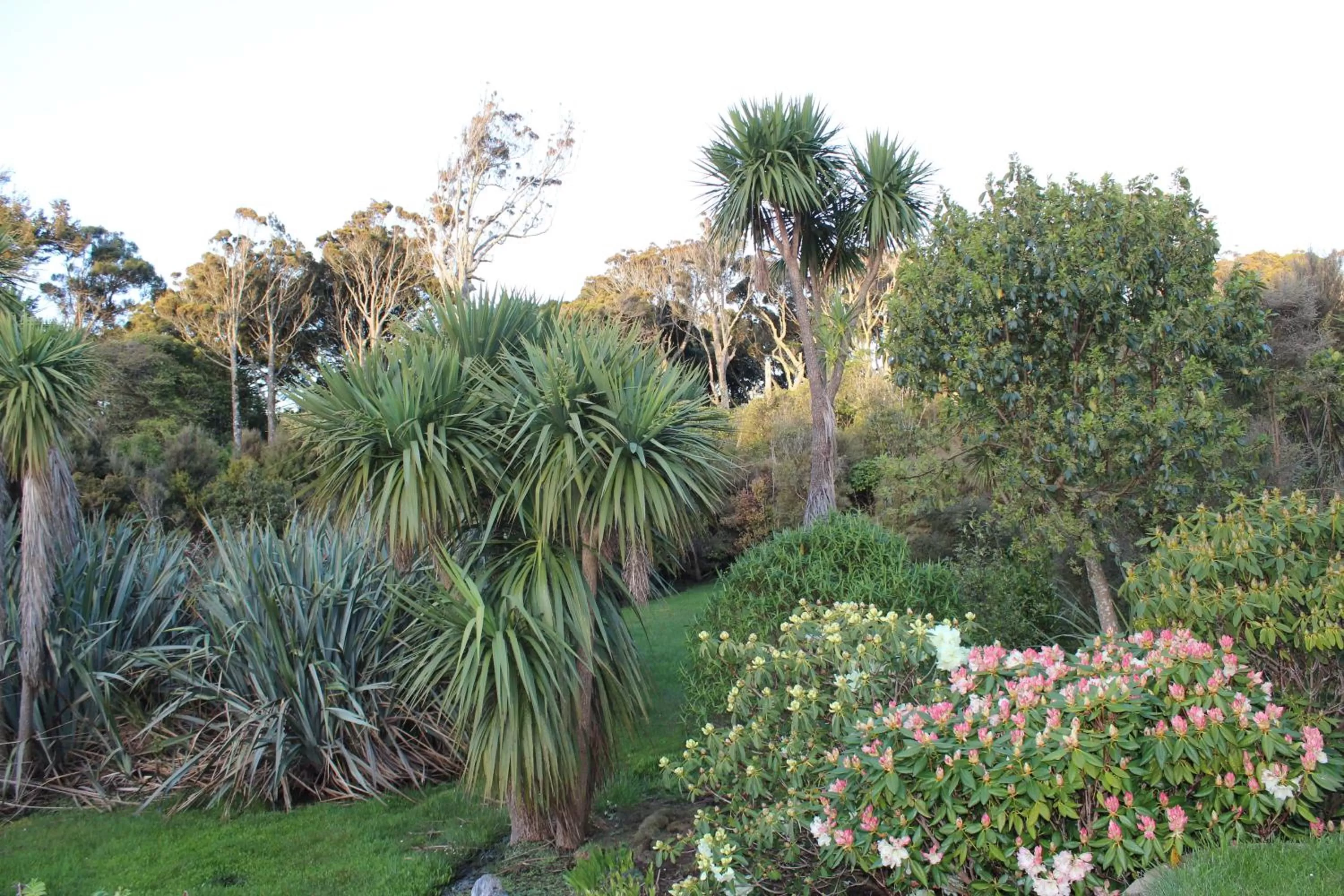 Garden view, Garden in Tui Hideaway