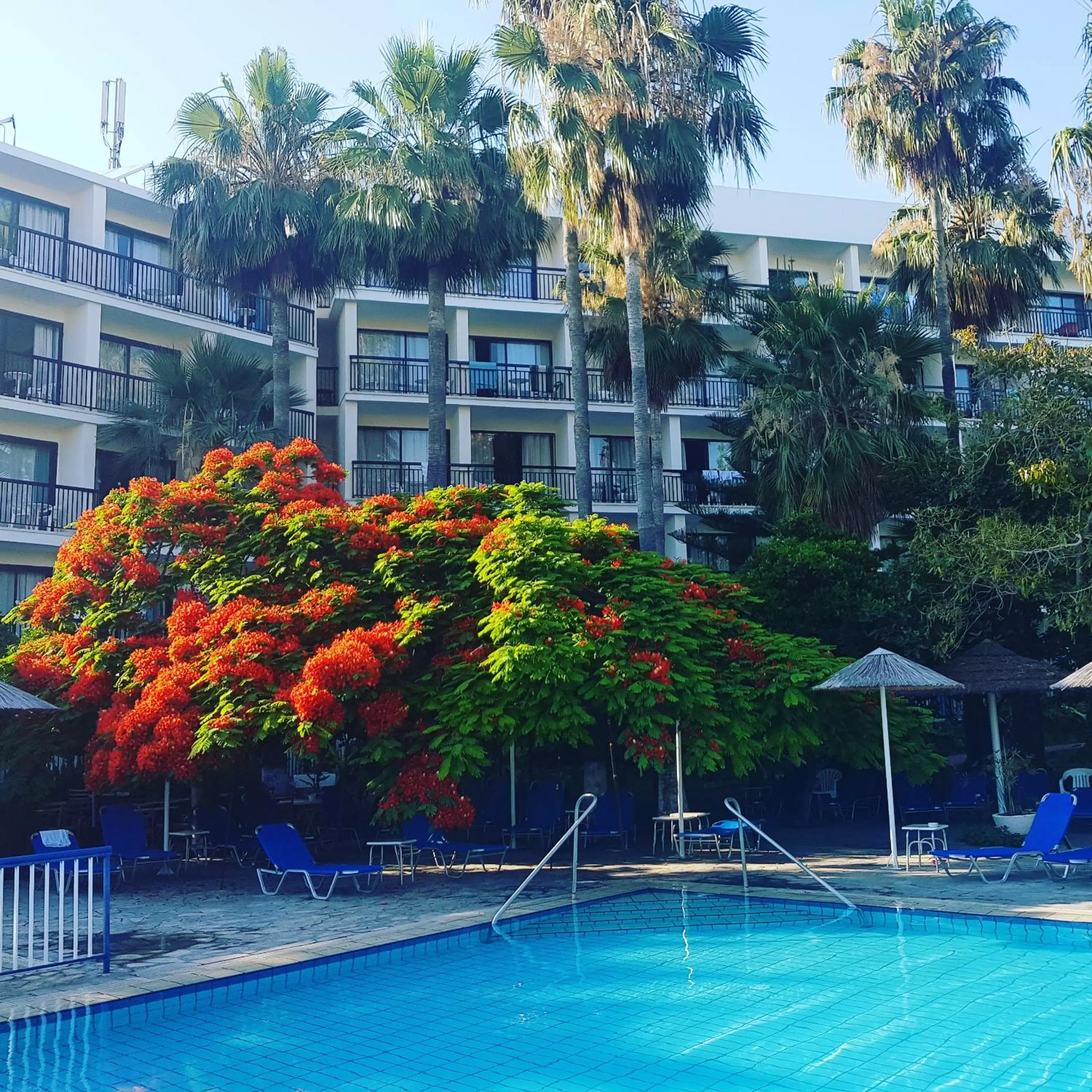 Swimming pool in Veronica Hotel