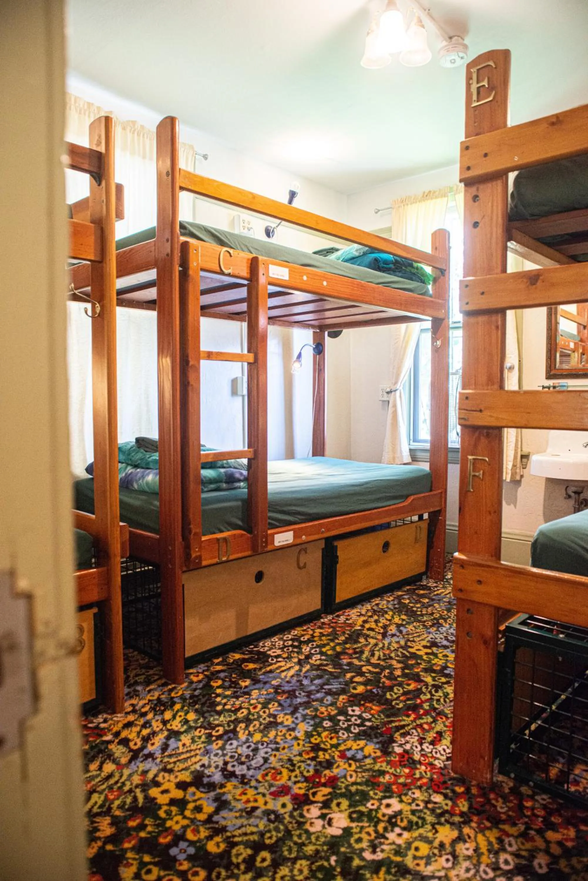 Bed in Green Tortoise Hostel