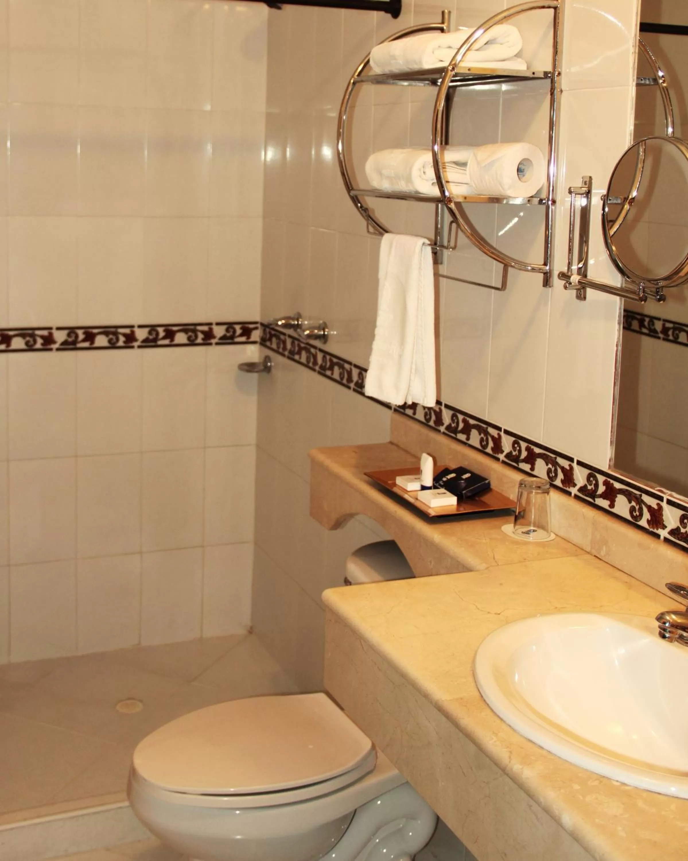 Bathroom in Hotel San Fernando Real