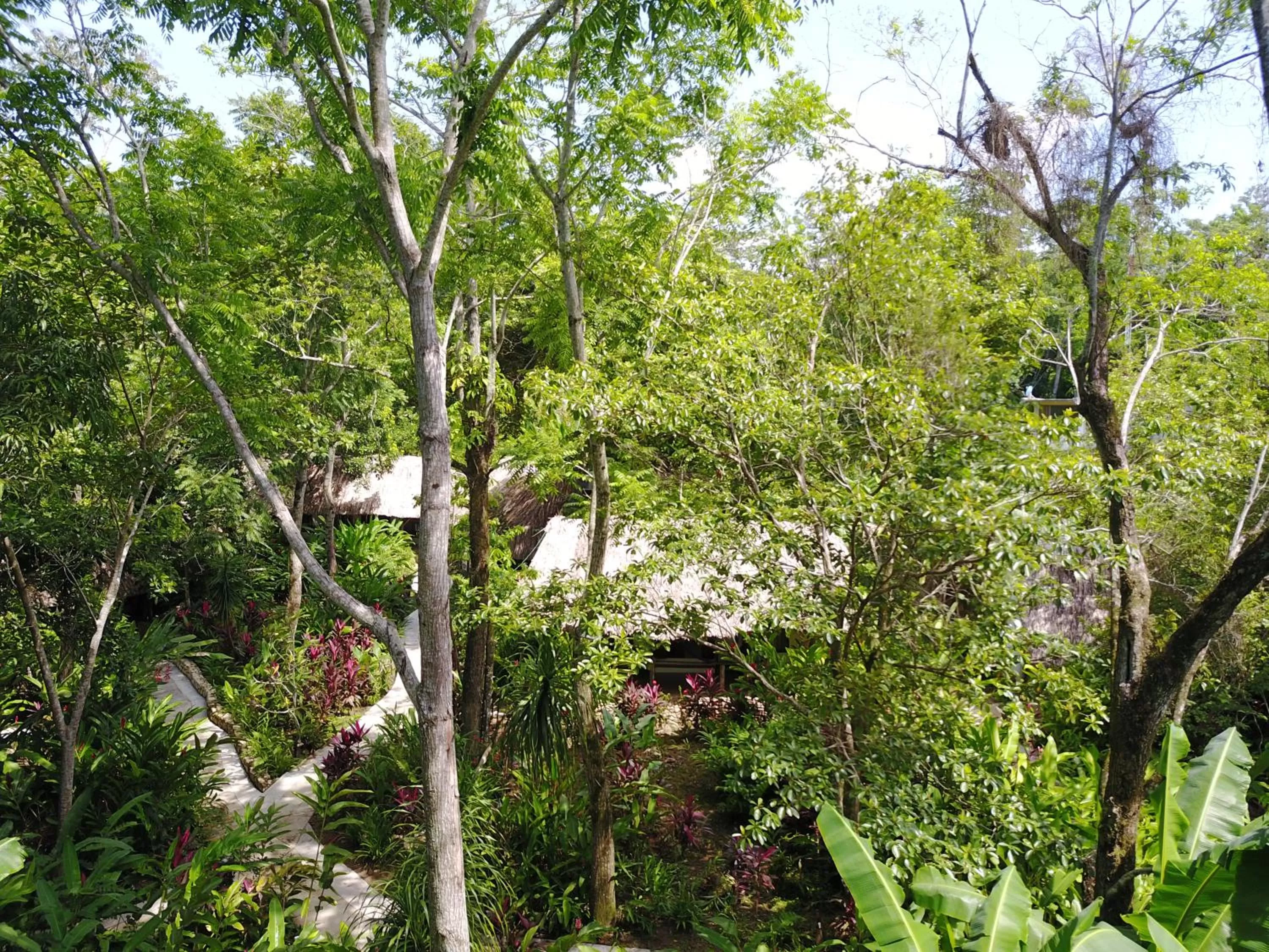 Garden in Hotel La Aldea del Halach Huinic