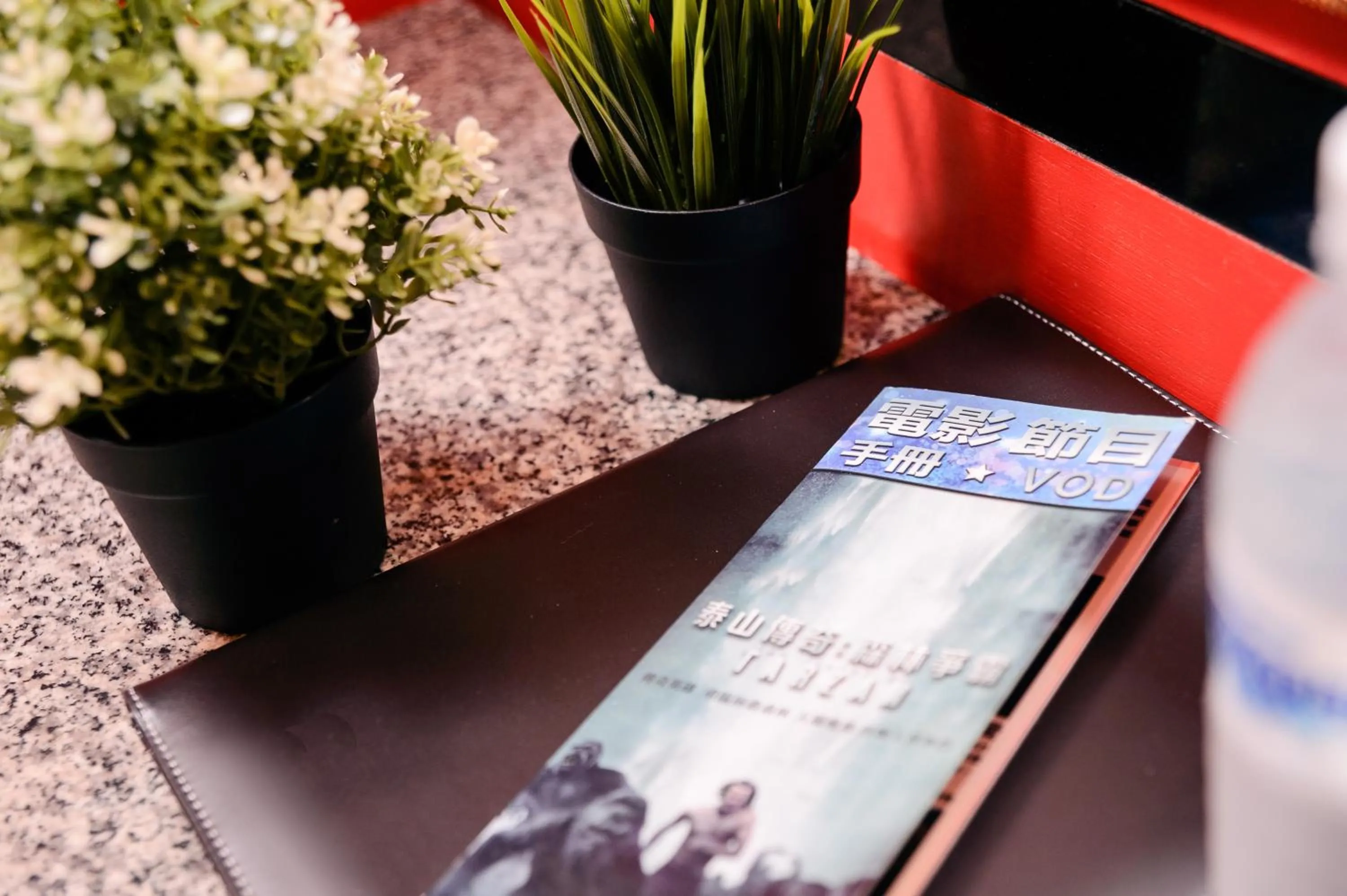 TV and multimedia in Duke Business Hotel