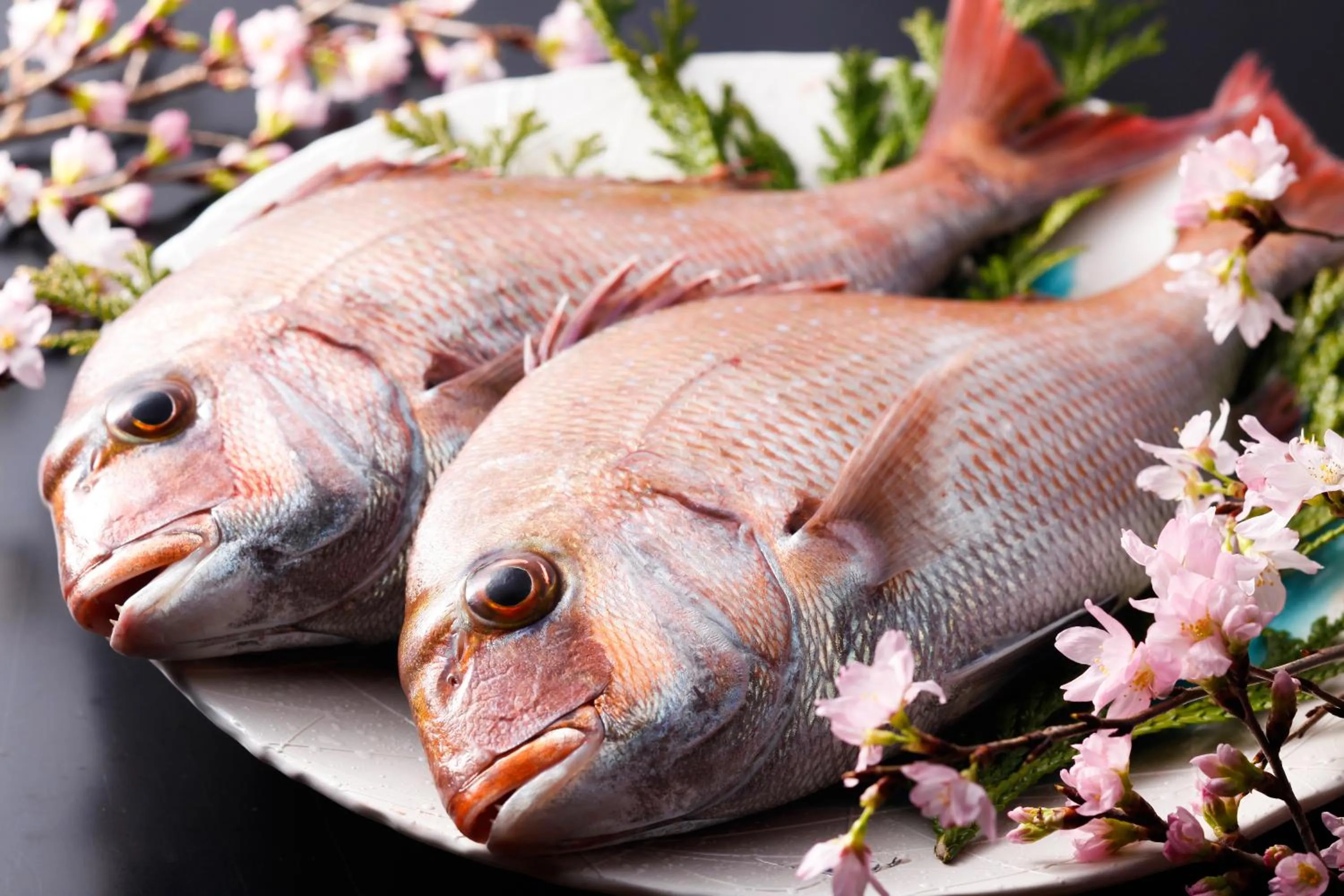 Restaurant/places to eat in Hanagoyomi