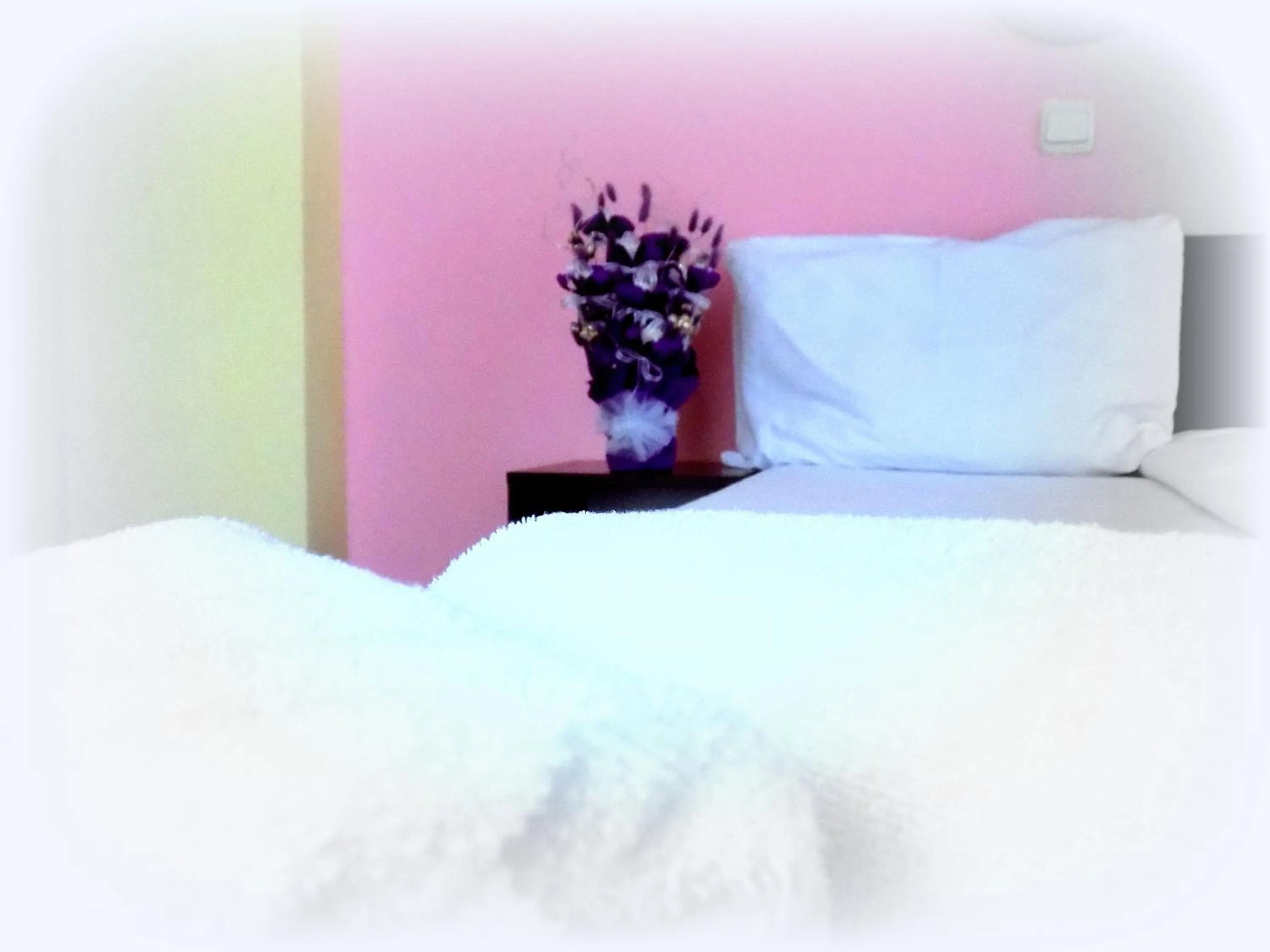 Decorative detail, Bed in Hotel Alexander