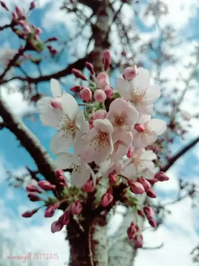 Day in Queens Park Motels