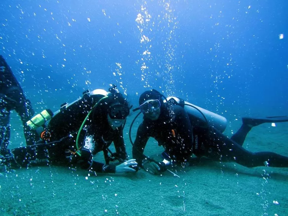 AivyMaes Divers Resort