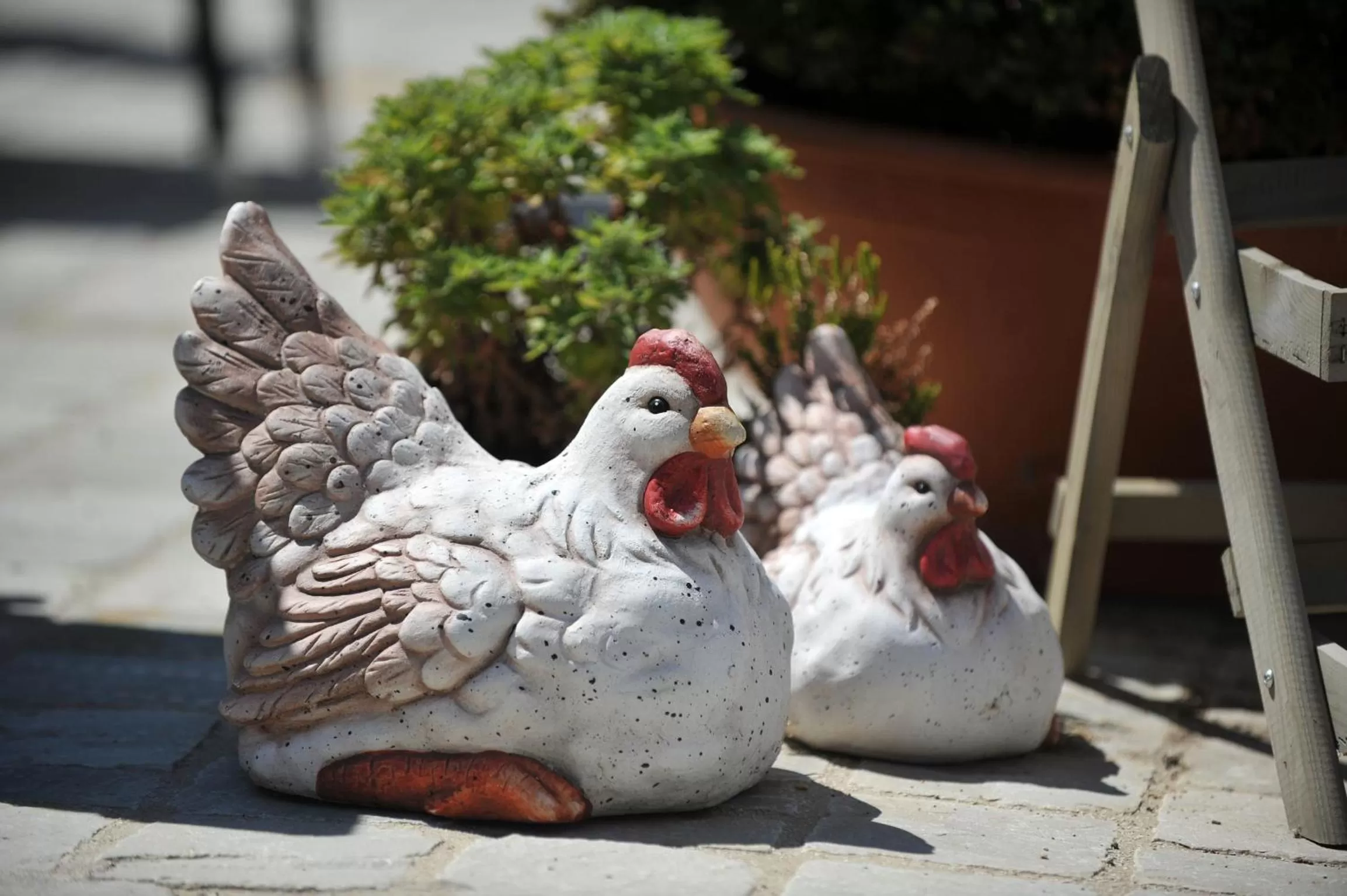 Decorative detail, Other Animals in B&B Het Vuchterhof