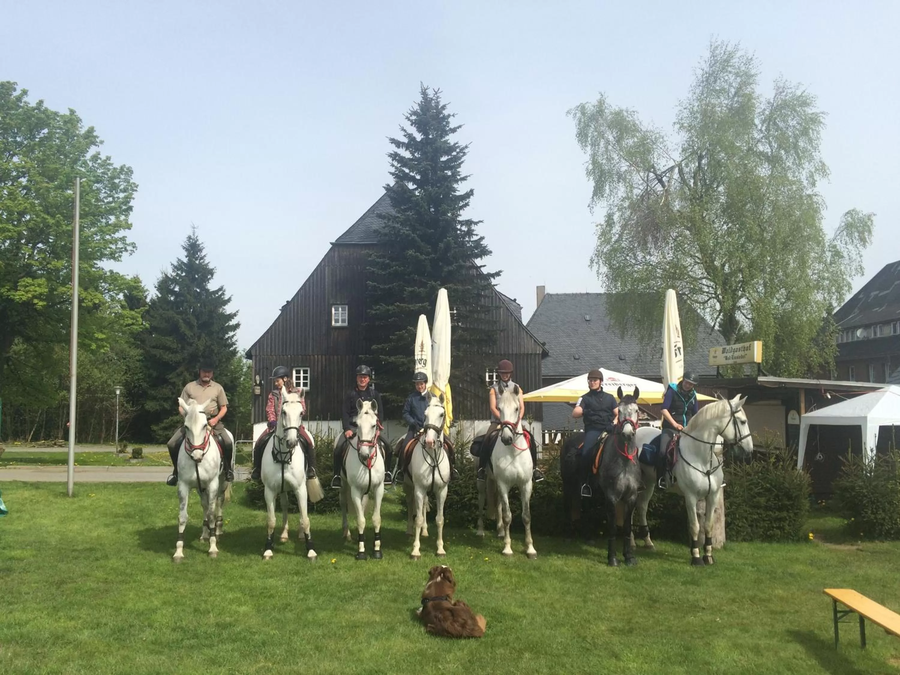 Horse-riding, Other Activities in Waldgasthof Bad Einsiedel