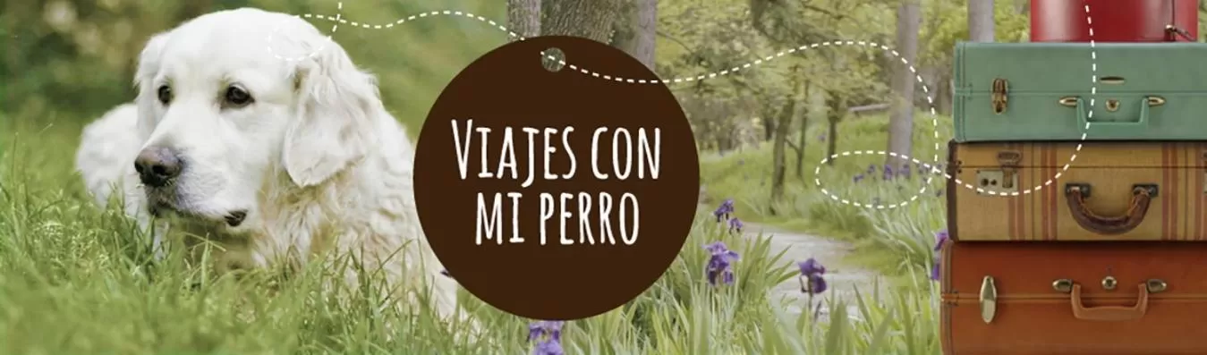 Coyunche Cabañas y Camping Laja & San Rosendo