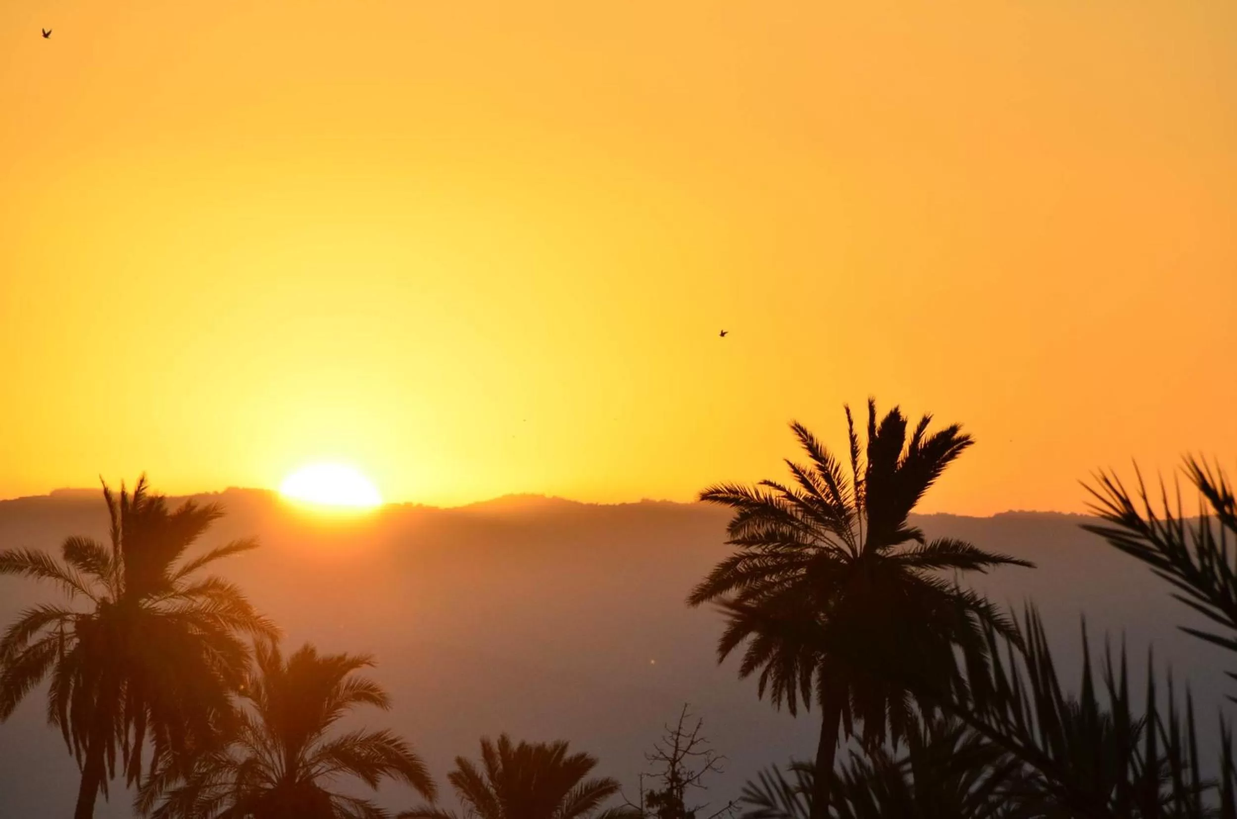 Summer, Sunrise/Sunset in Auberg-Inn Guesthouse