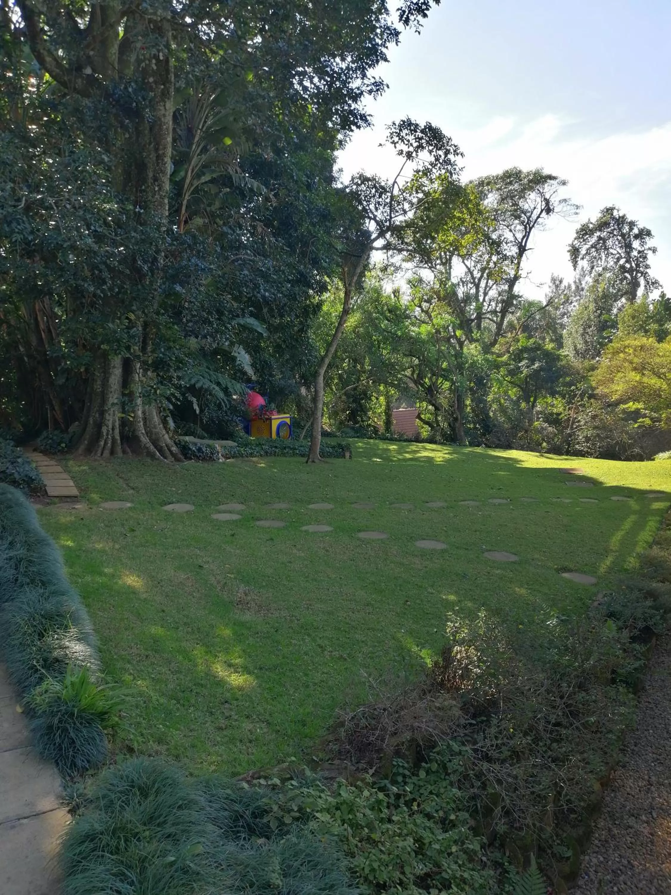 Garden in Dunranch House