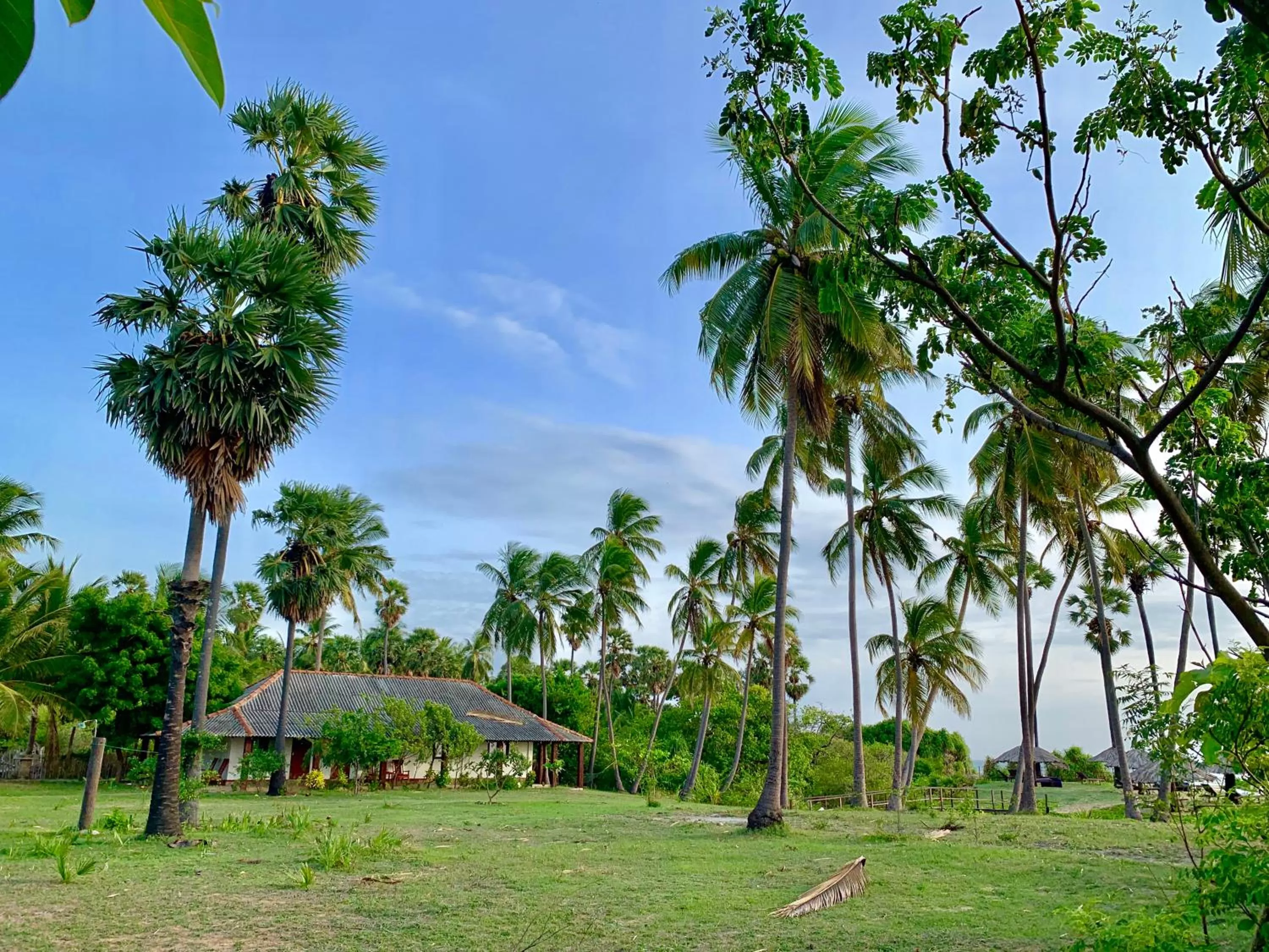 Garden in 108 Palms Beach Resort