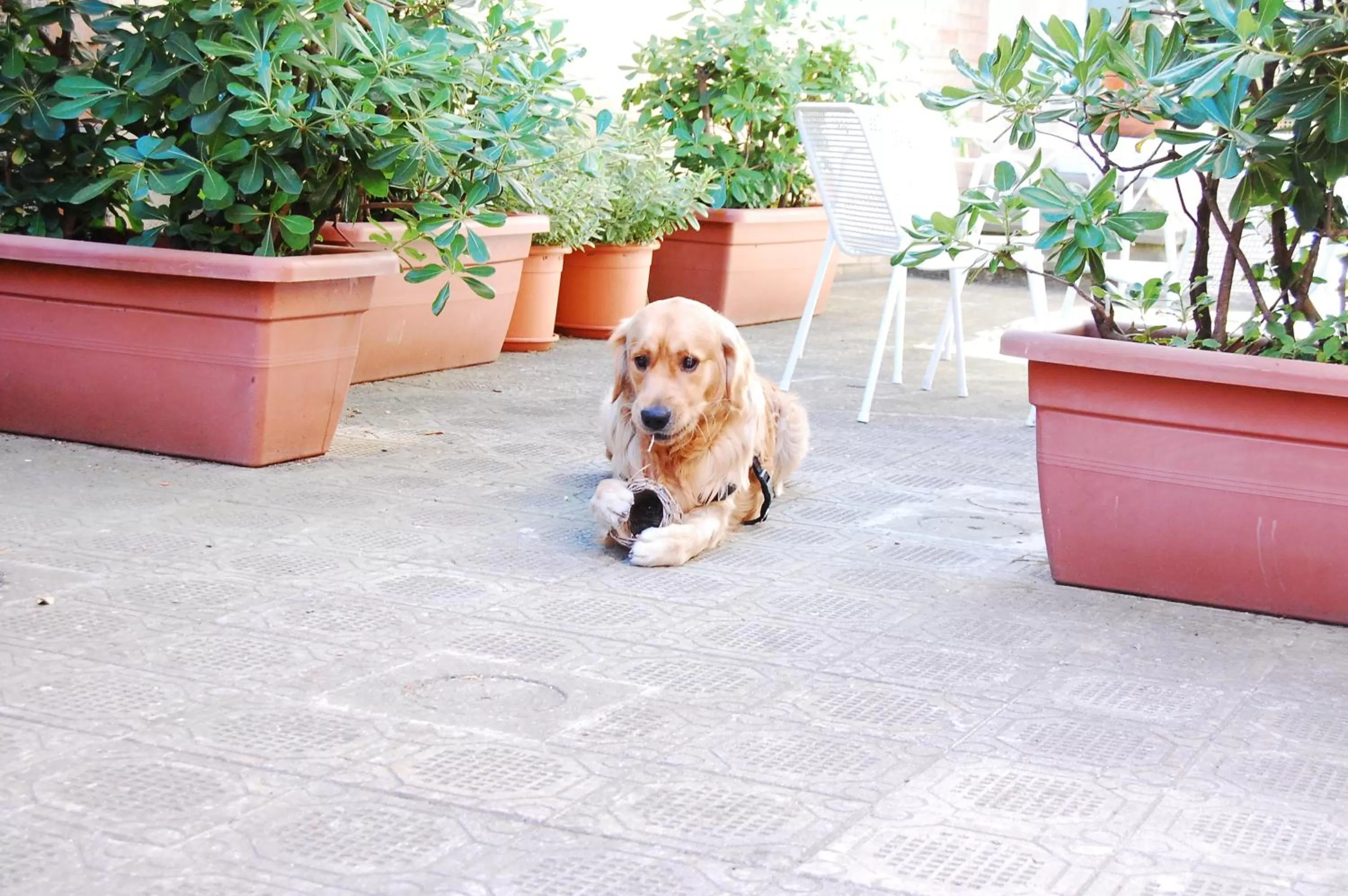 Patio in Hotel La Locanda