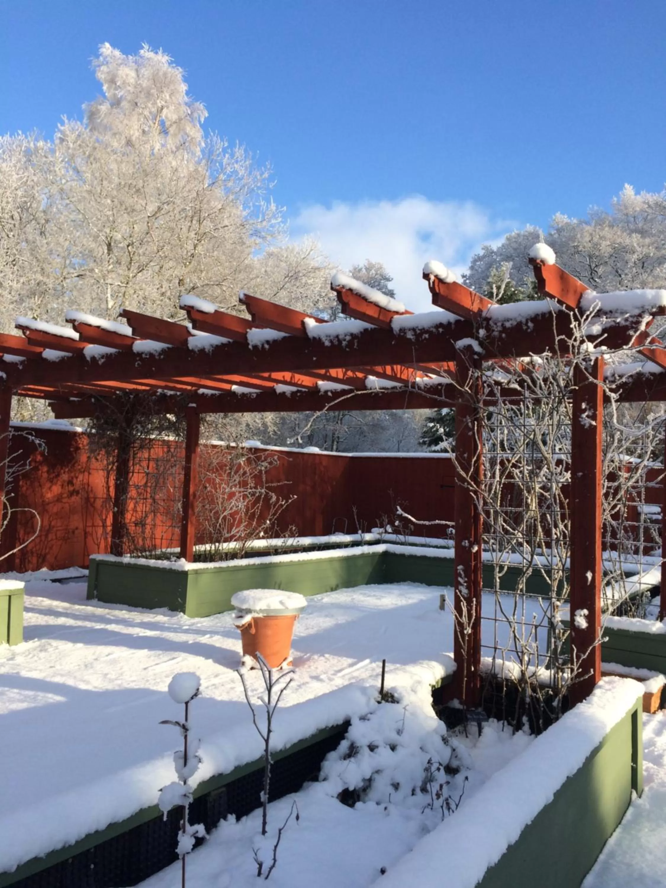 Winter in Malistorpets Rosor