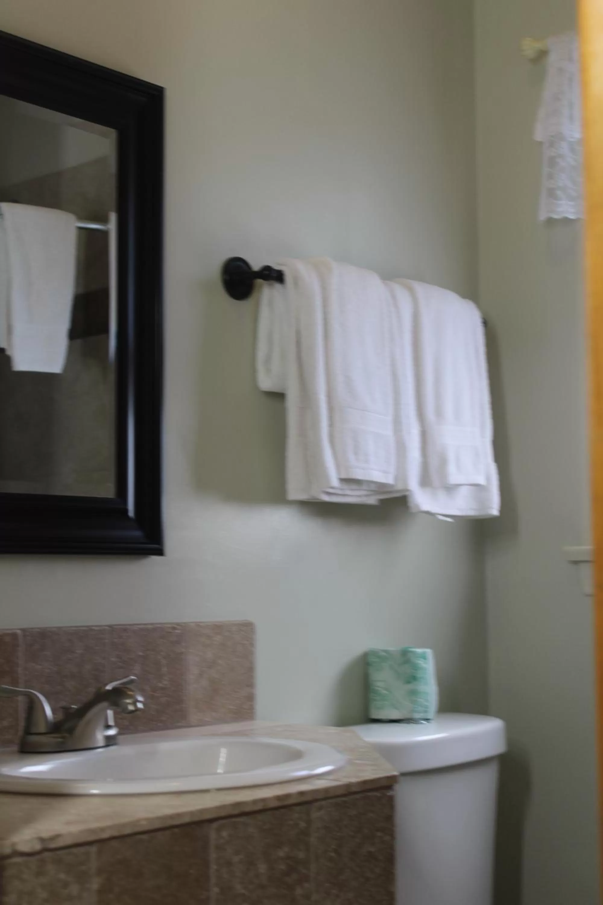 Toilet in Trees Motel