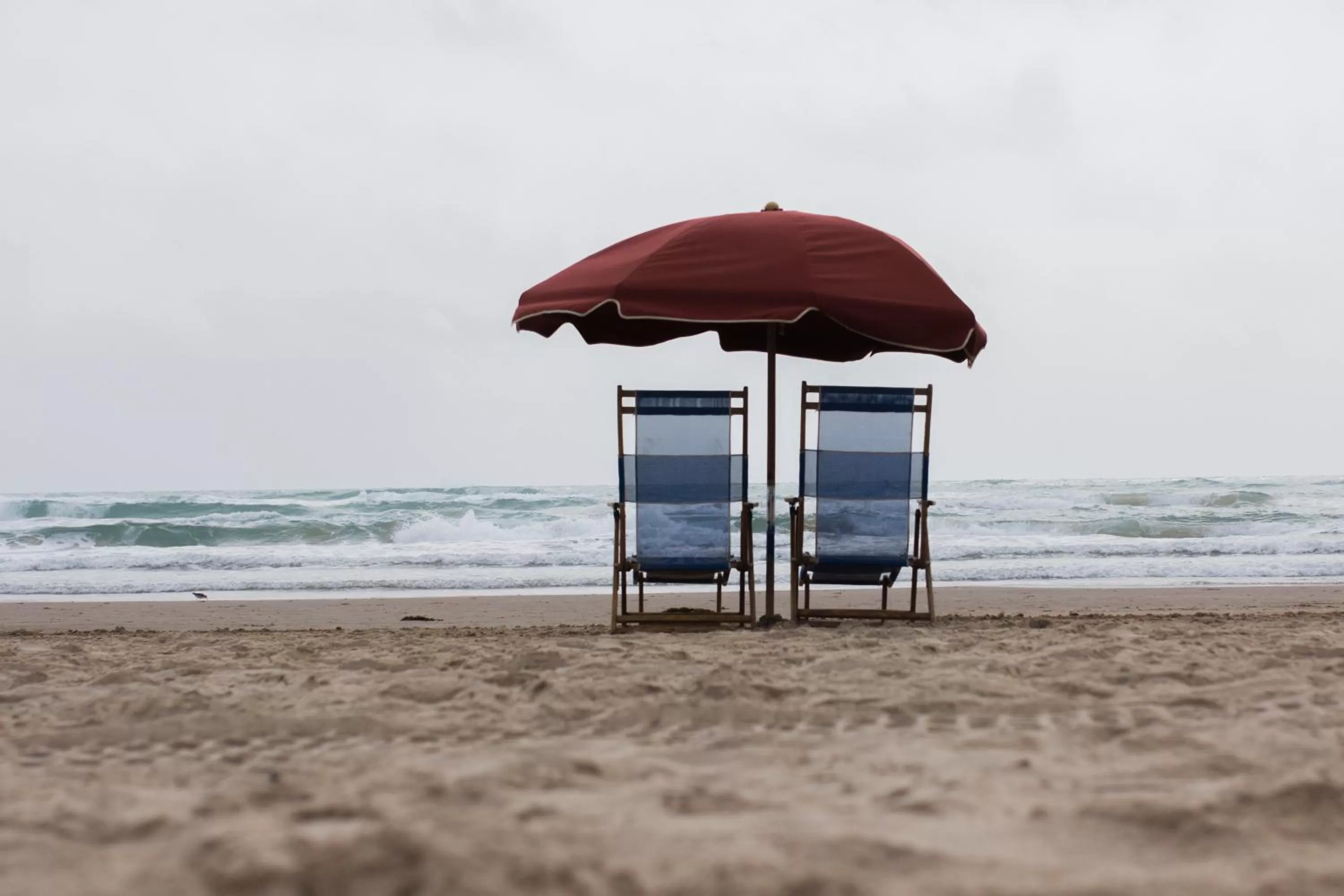 Activities in La Copa Inn Beach Hotel