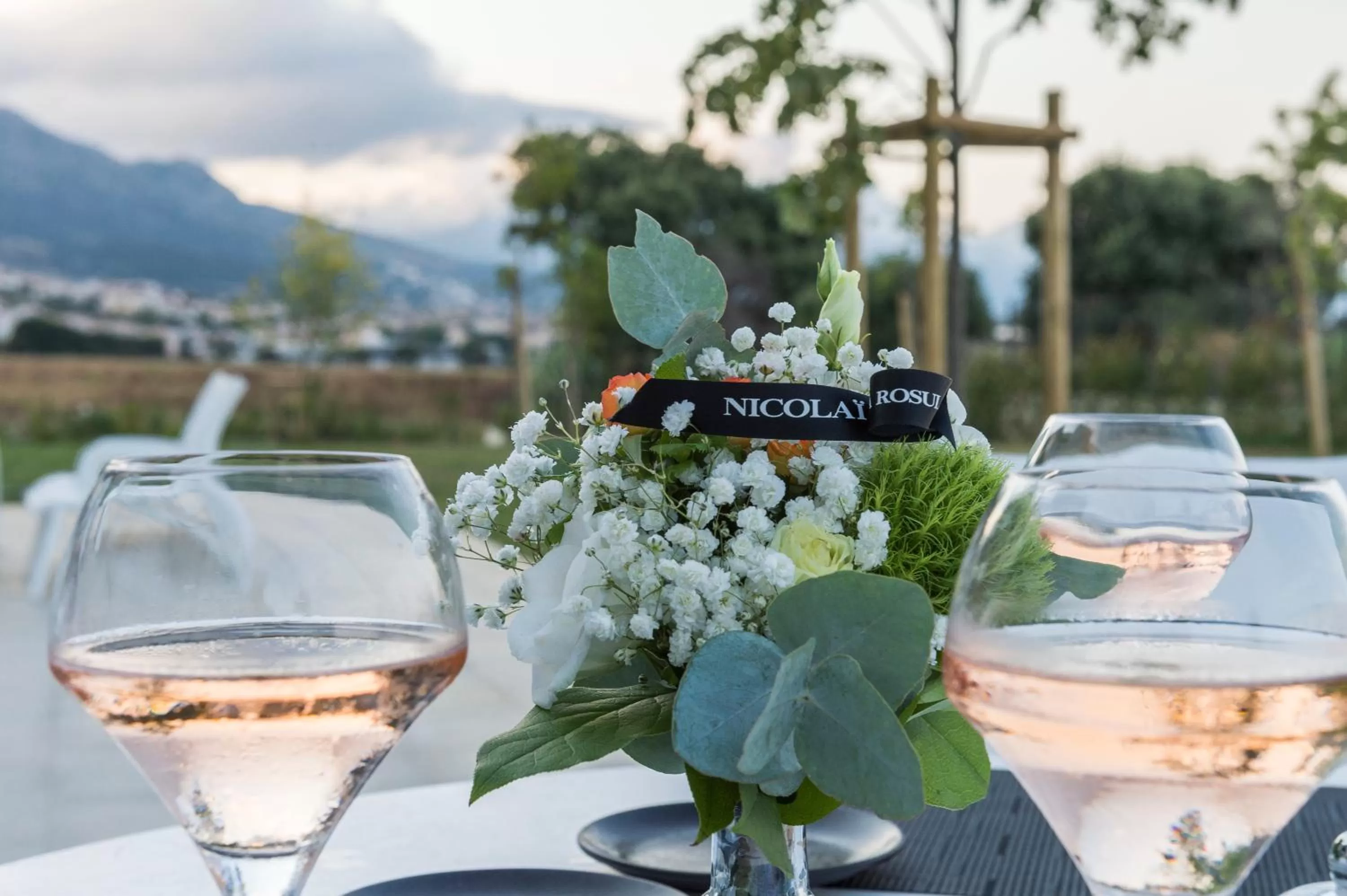 Dinner in Mercure Hotel & Spa Bastia Biguglia