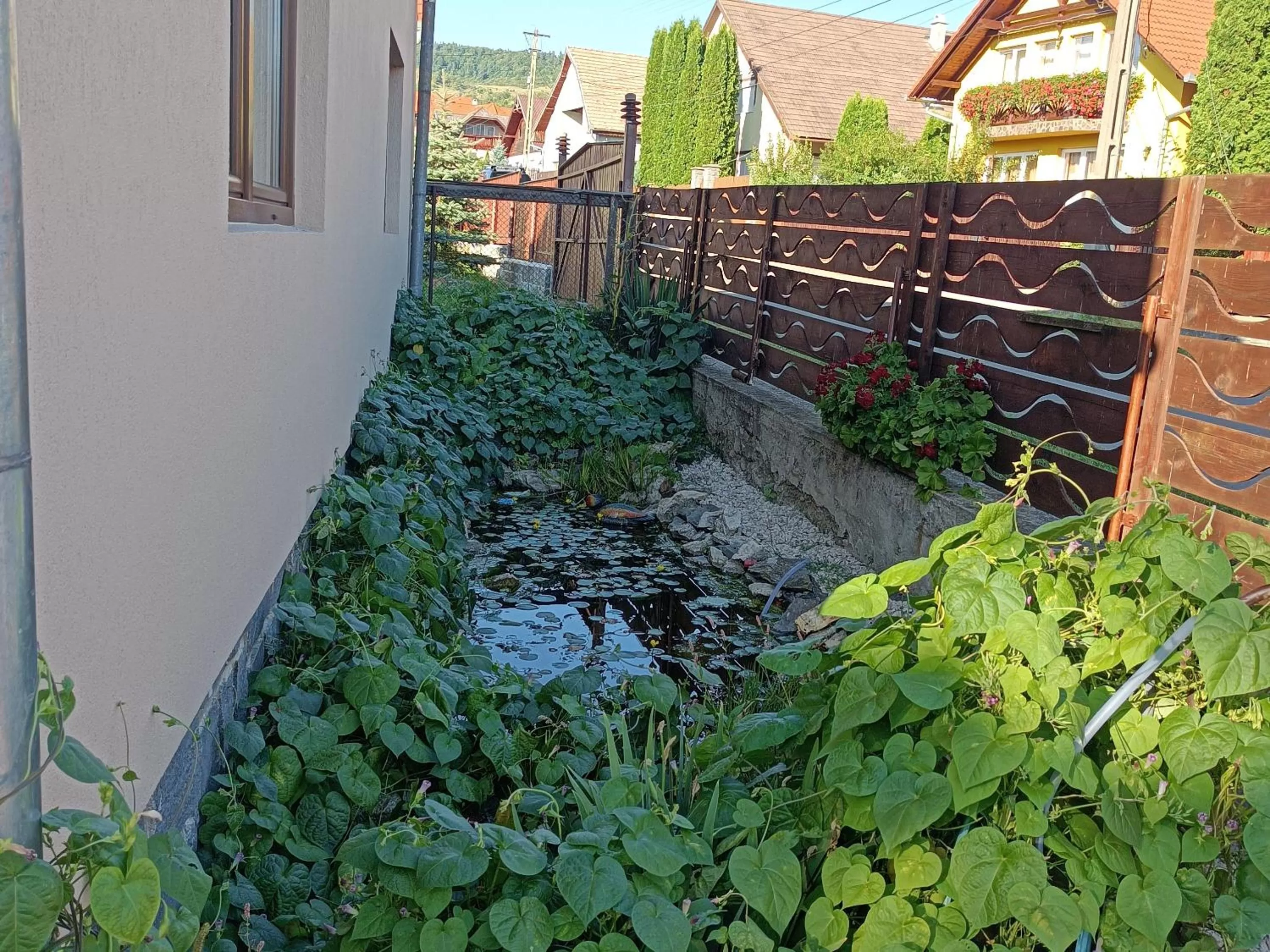 Garden view in Nárcisz B&B