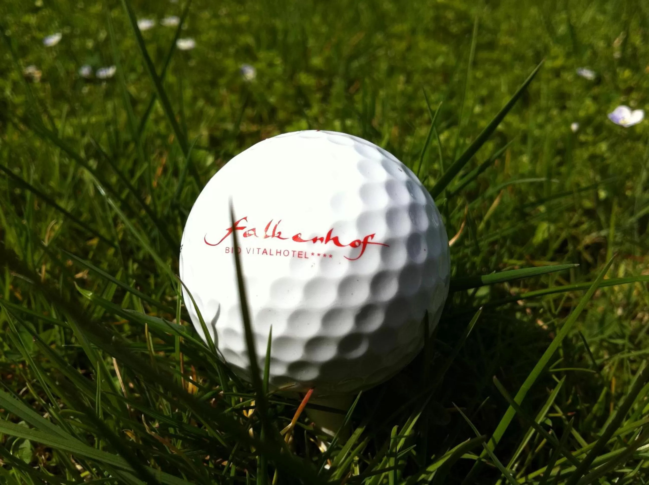 Golfcourse, Golf in Bio Thermalhotel Falkenhof