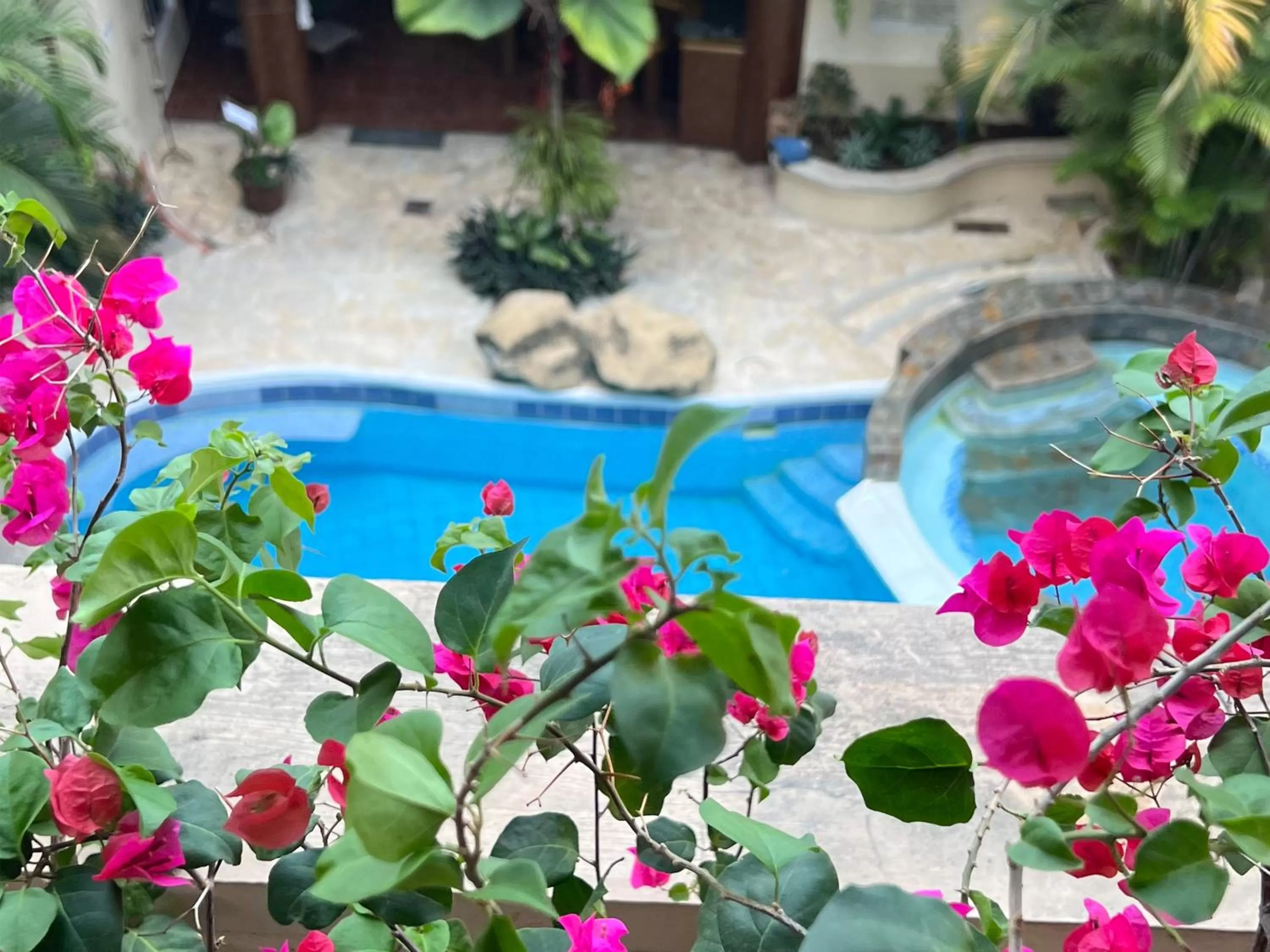 Swimming pool, Pool View in Hotel Quinta Maya