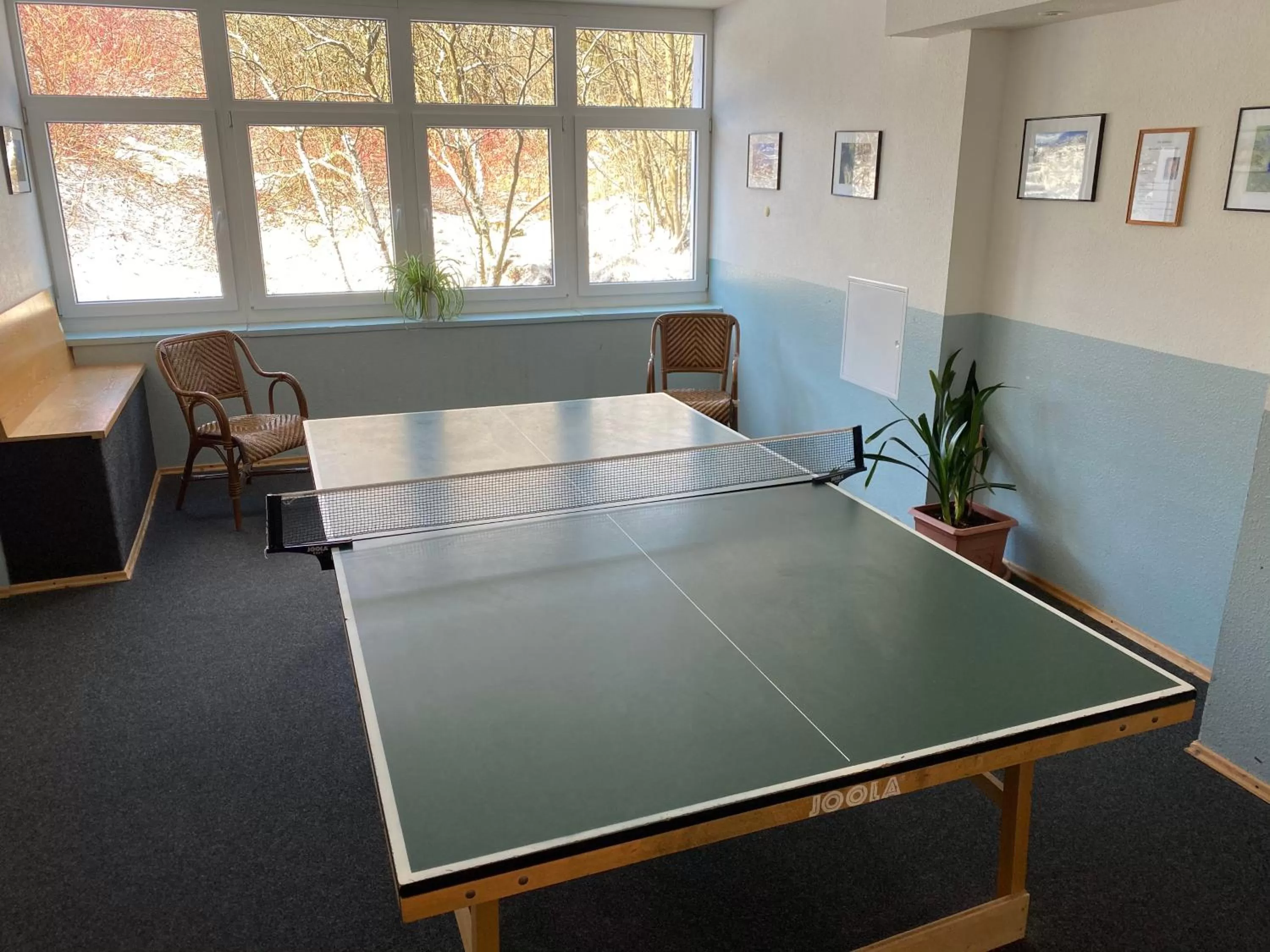 Game Room in Hotel Lugsteinhof