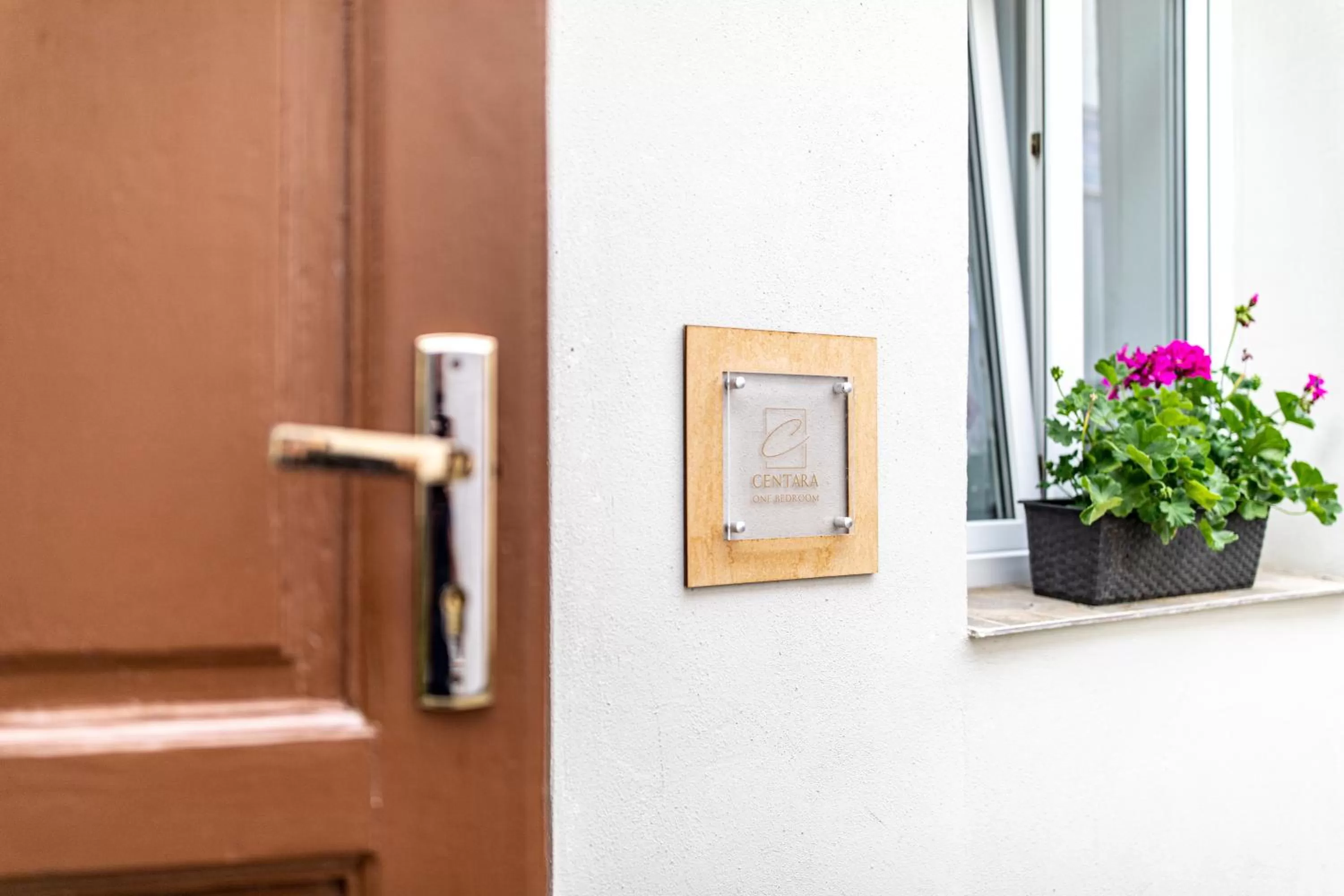 Decorative detail in ALBERT RESIDENCE with PARKING