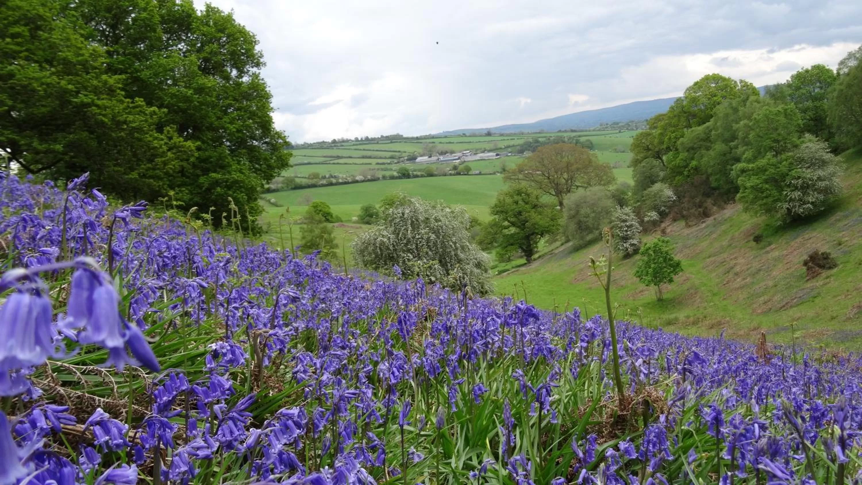 Neighbourhood in Middle Woodbatch B&B